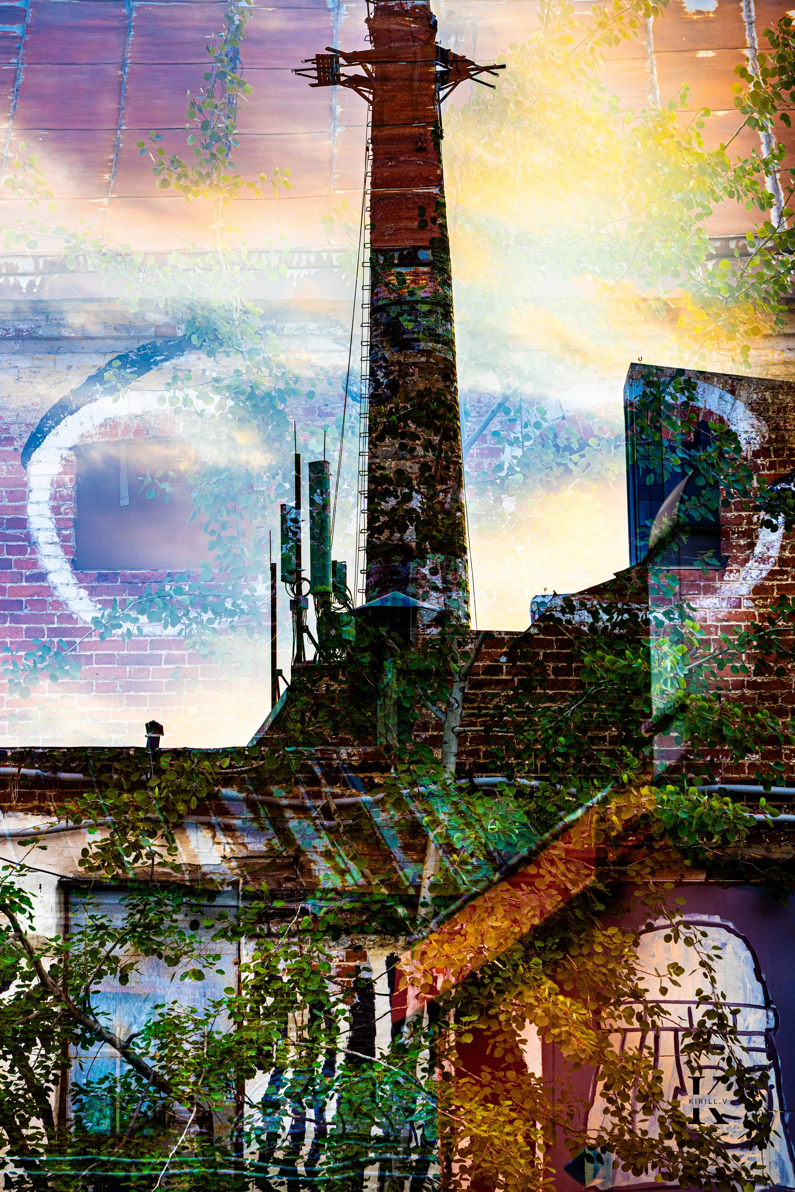 Мой Арт Хаос. Фото импрессионизм. Фотографирую жизнь! Московский фотограф волонтер