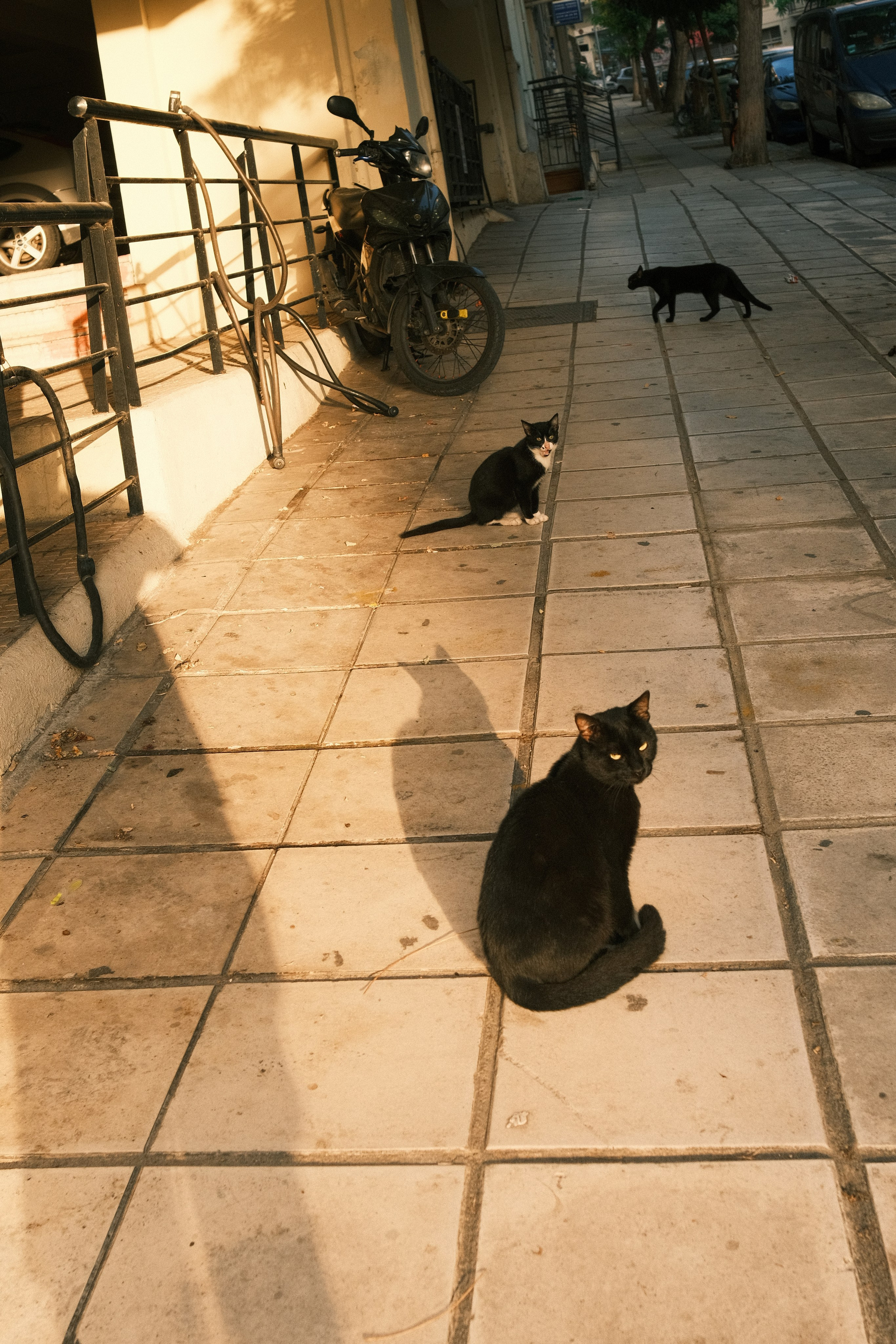 Фотографии Салоник | Филипп Линзин. Репортажный и портретный фотограф в Санкт-Петербурге Филипп Линзин