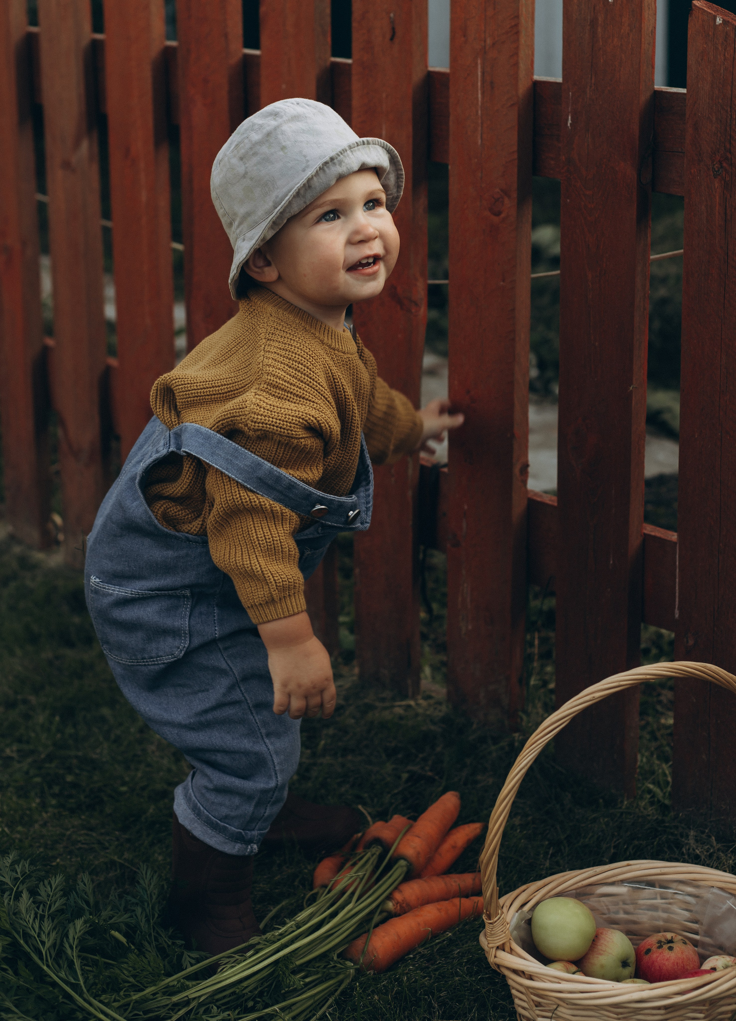 Морковная история 🥕🧡. Услуги