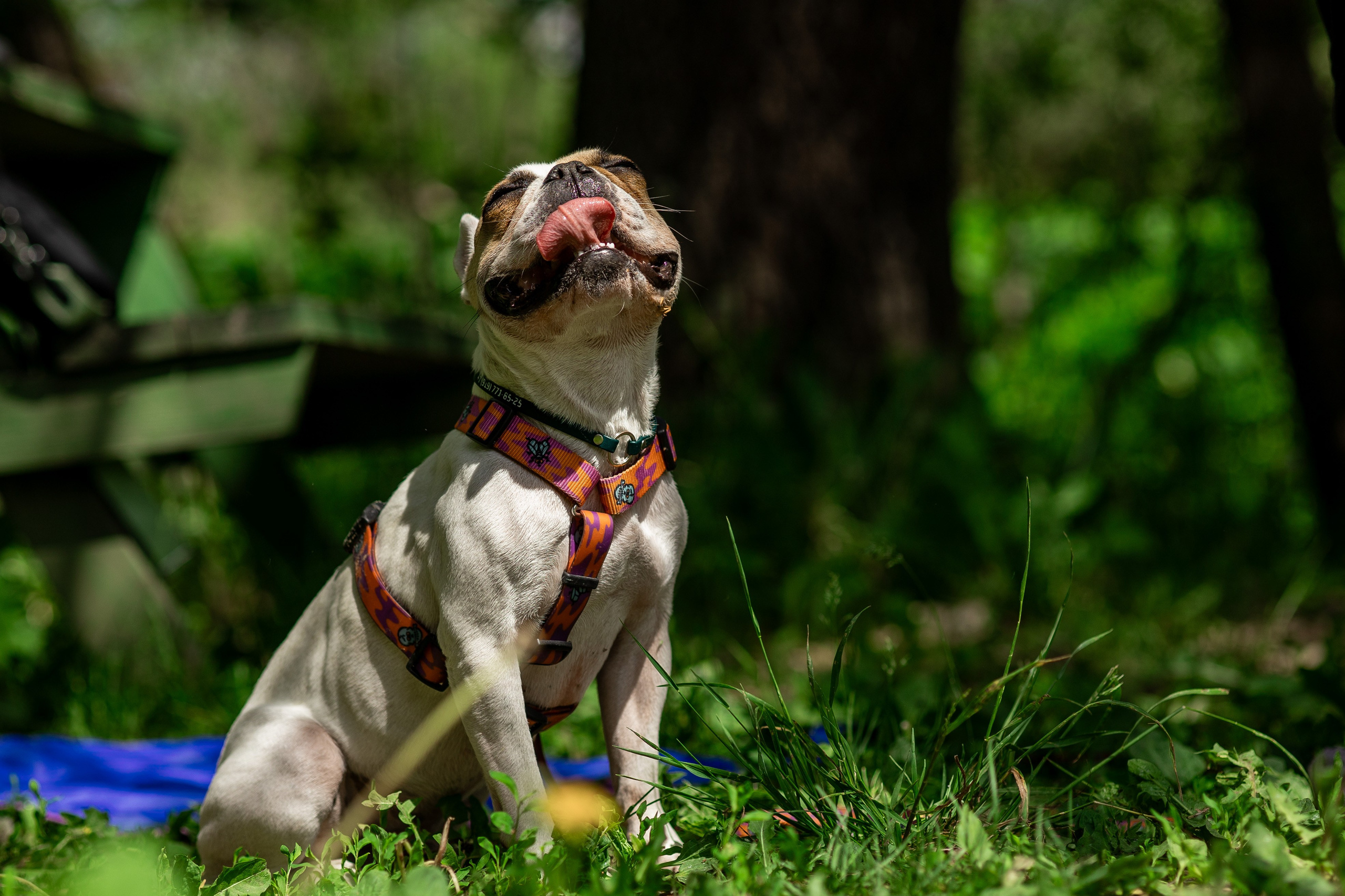 Репортаж по Ноузворку. Анастасия Белаш