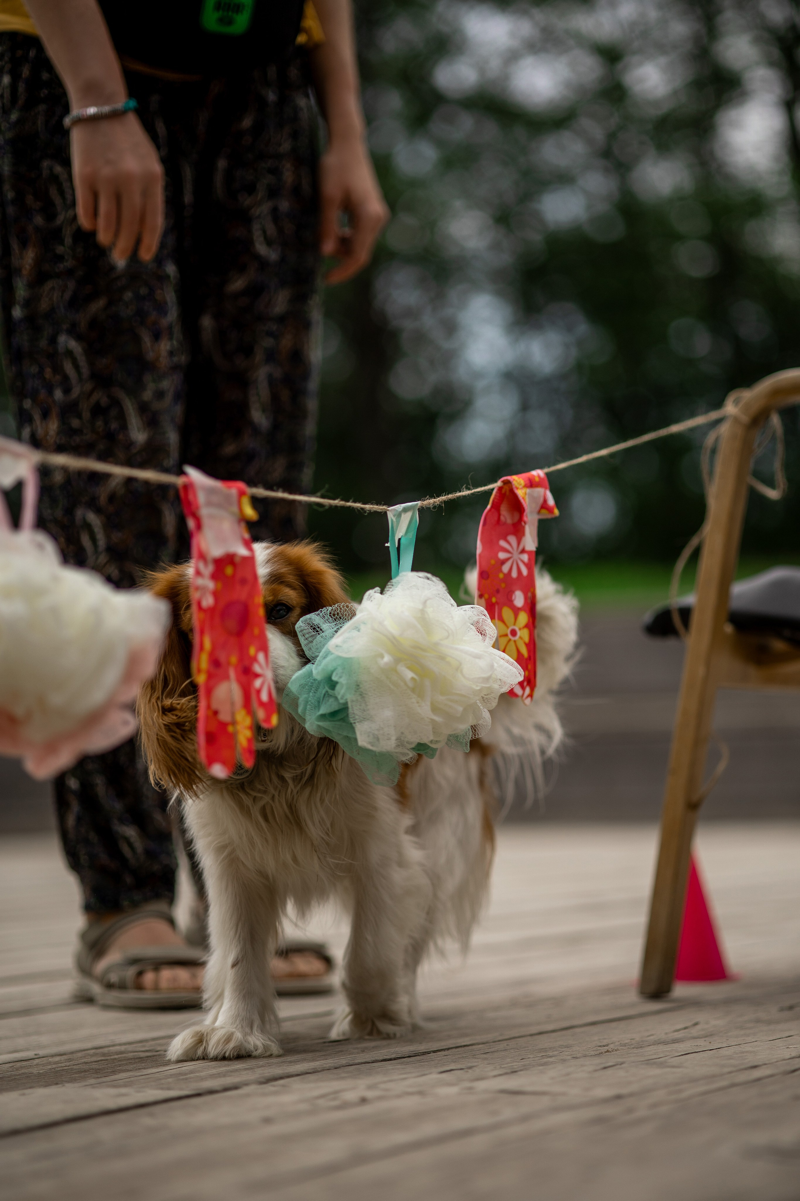 Репортаж по Ноузворку. Анастасия Белаш