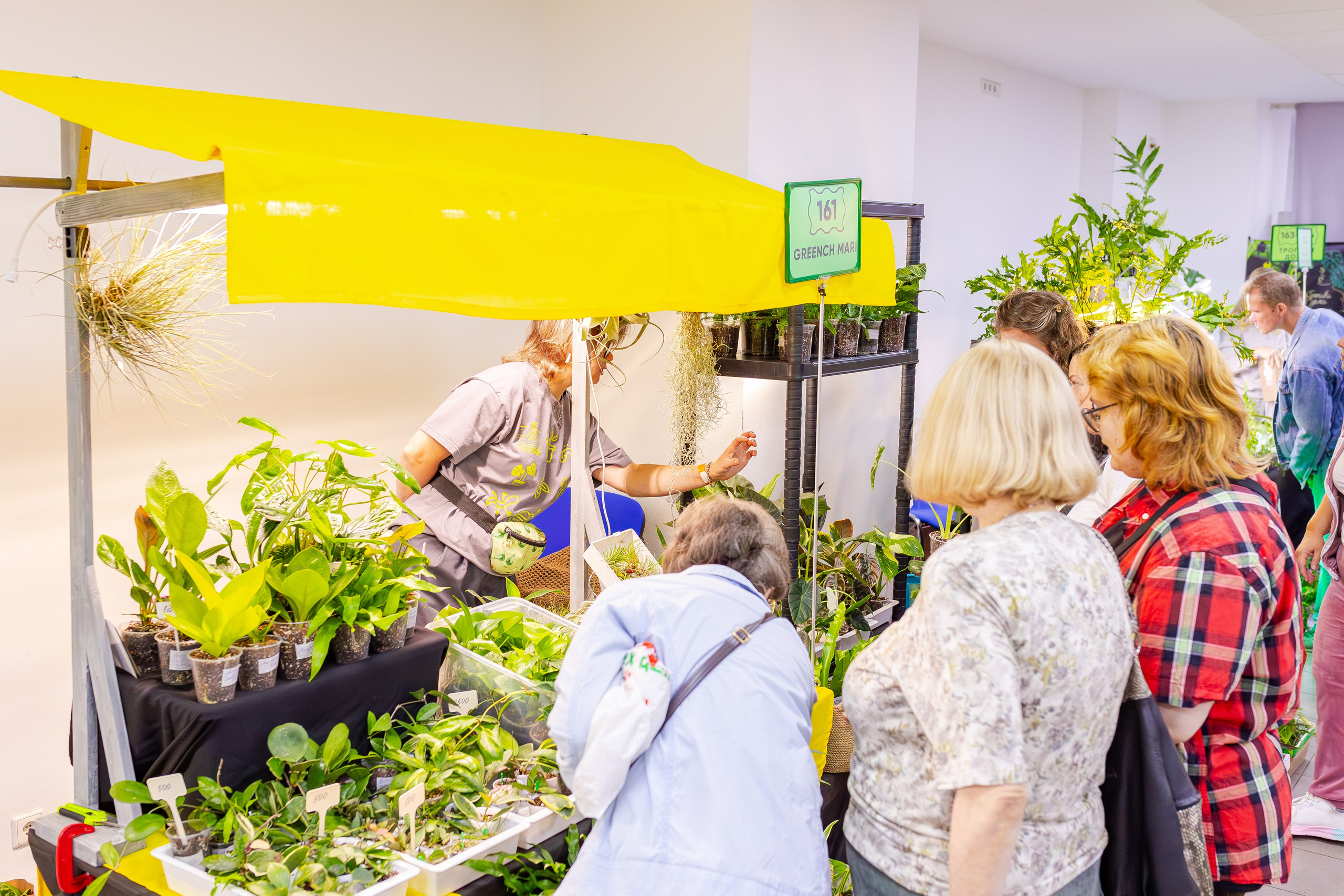 Орхидиум сентябрь 2025. Александра Куликова фотограф, Москва