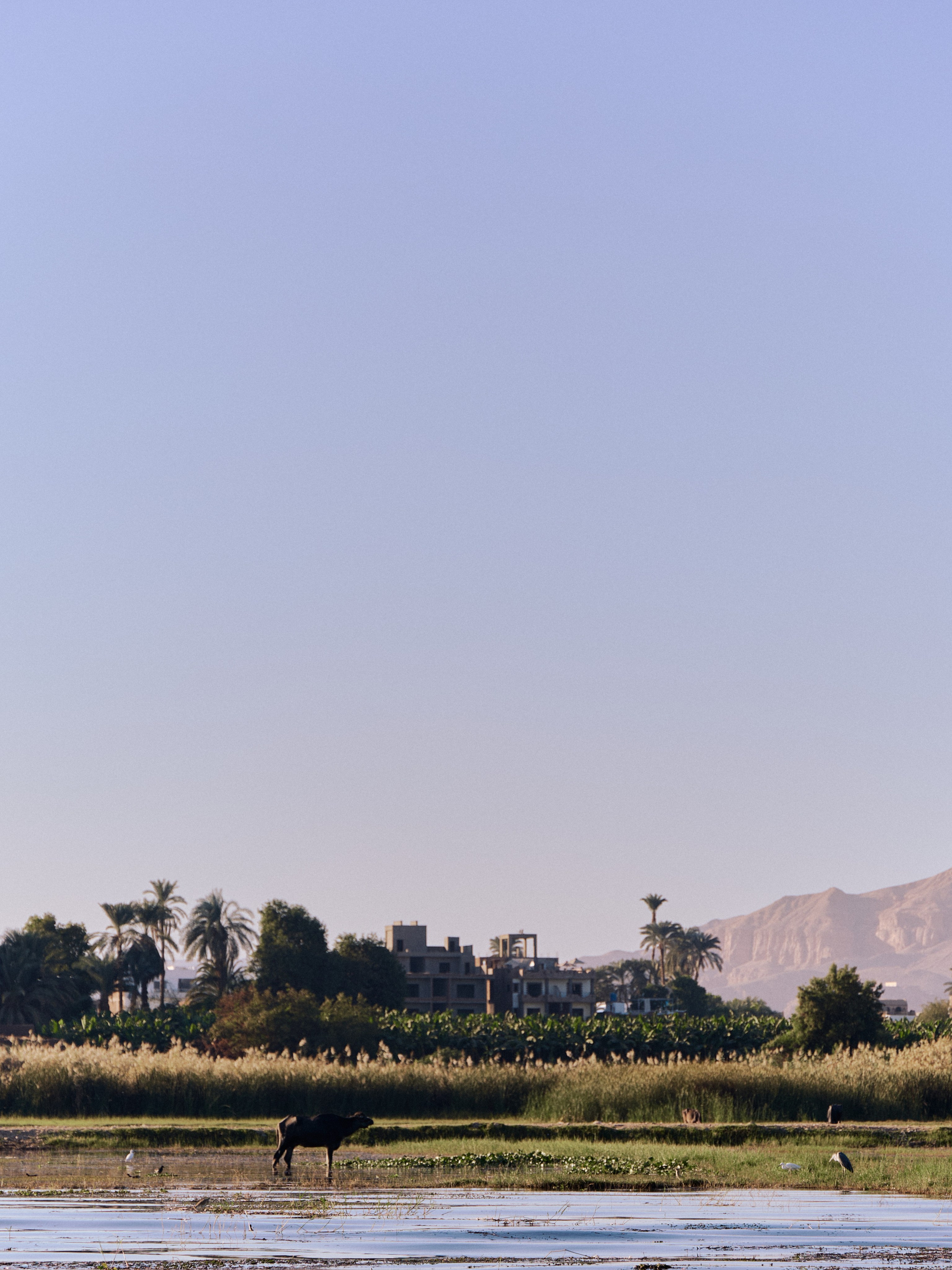 Другое 4. Jorgis — фотограф в Хургаде / обучение фотографии