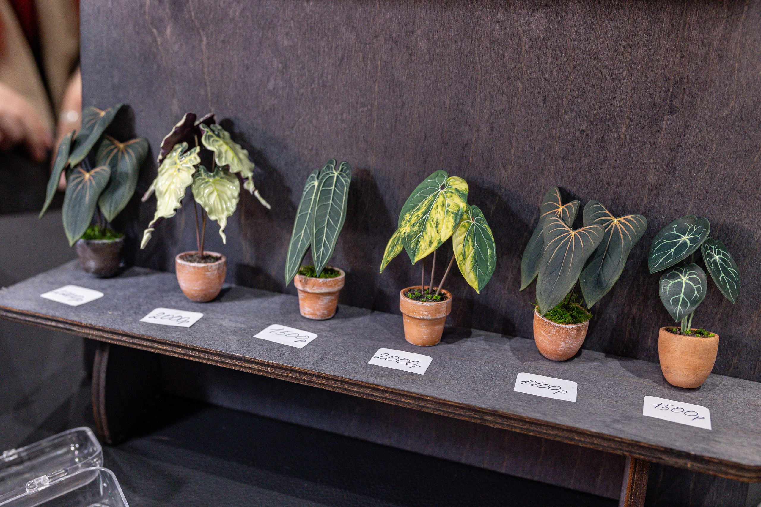 Монстериум 11–12 октября. Александра Куликова фотограф, Москва