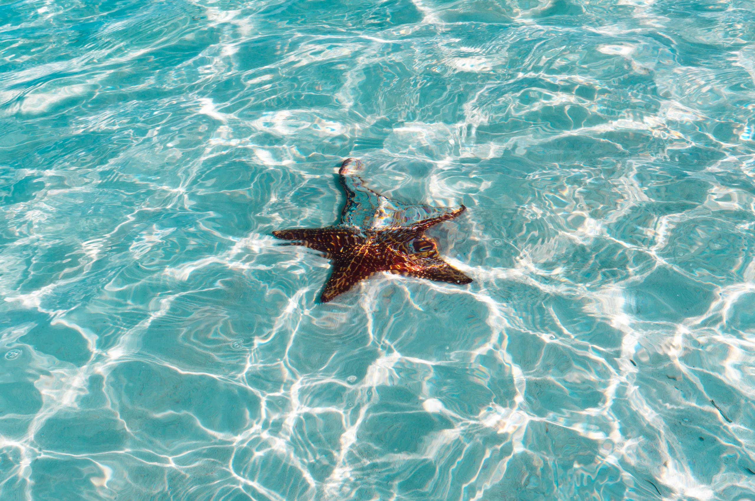 Острова. Фотограф Артем Севостьянов. Профессиональная фотосъемка в Ногинске, Москве, Московской области и за границей