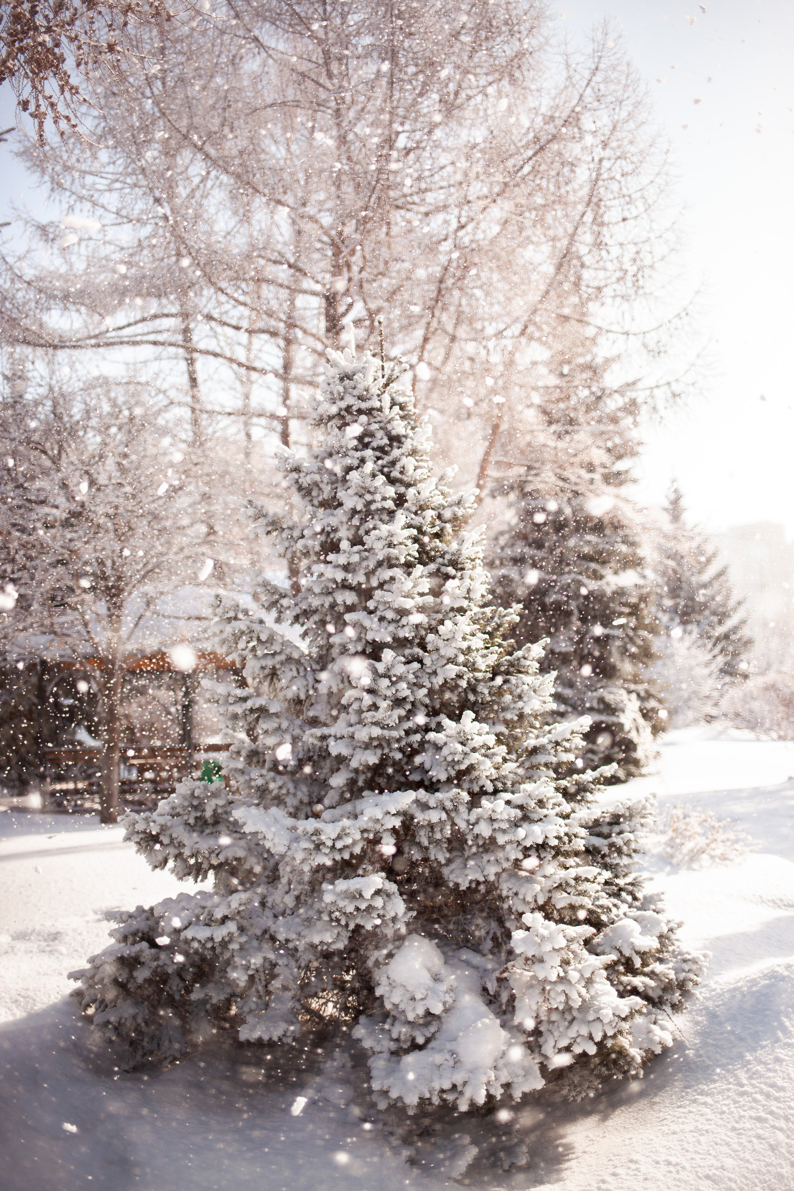 Фотосъемка природы, города, улиц. Инна Карцева Свадебный фотограф Тольятти