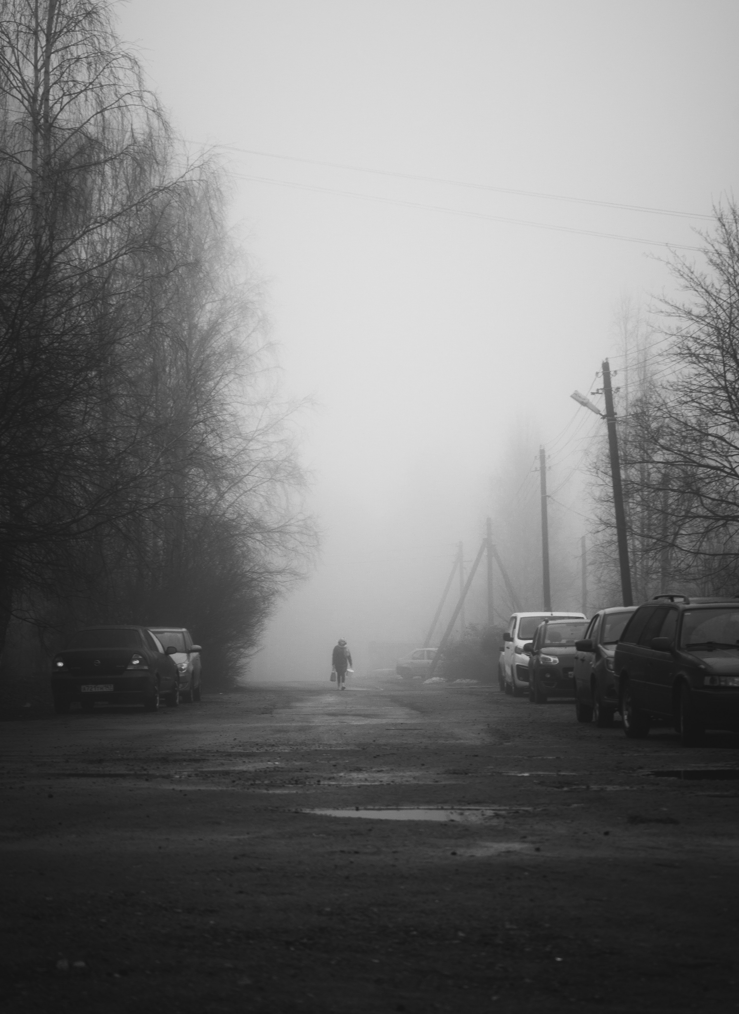 Туман, утренний туман в Санкт-Петербурге, туман в Романовке Санкт-Петербург, туман в черно-белом стиле, фото тумана в Санкт-Петербурге Ленинградская область 