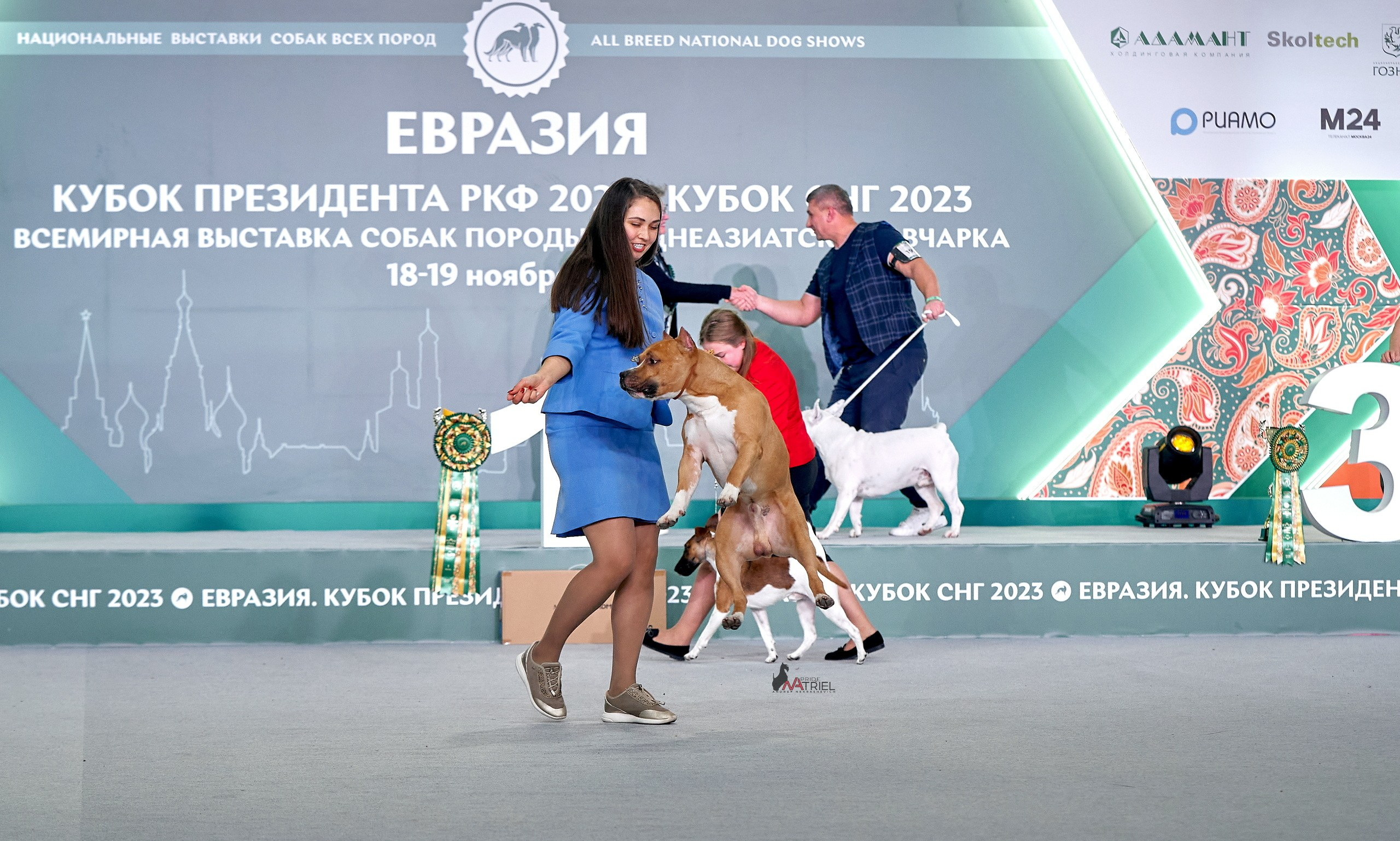 Работа в рингах — галерея NATRIEL