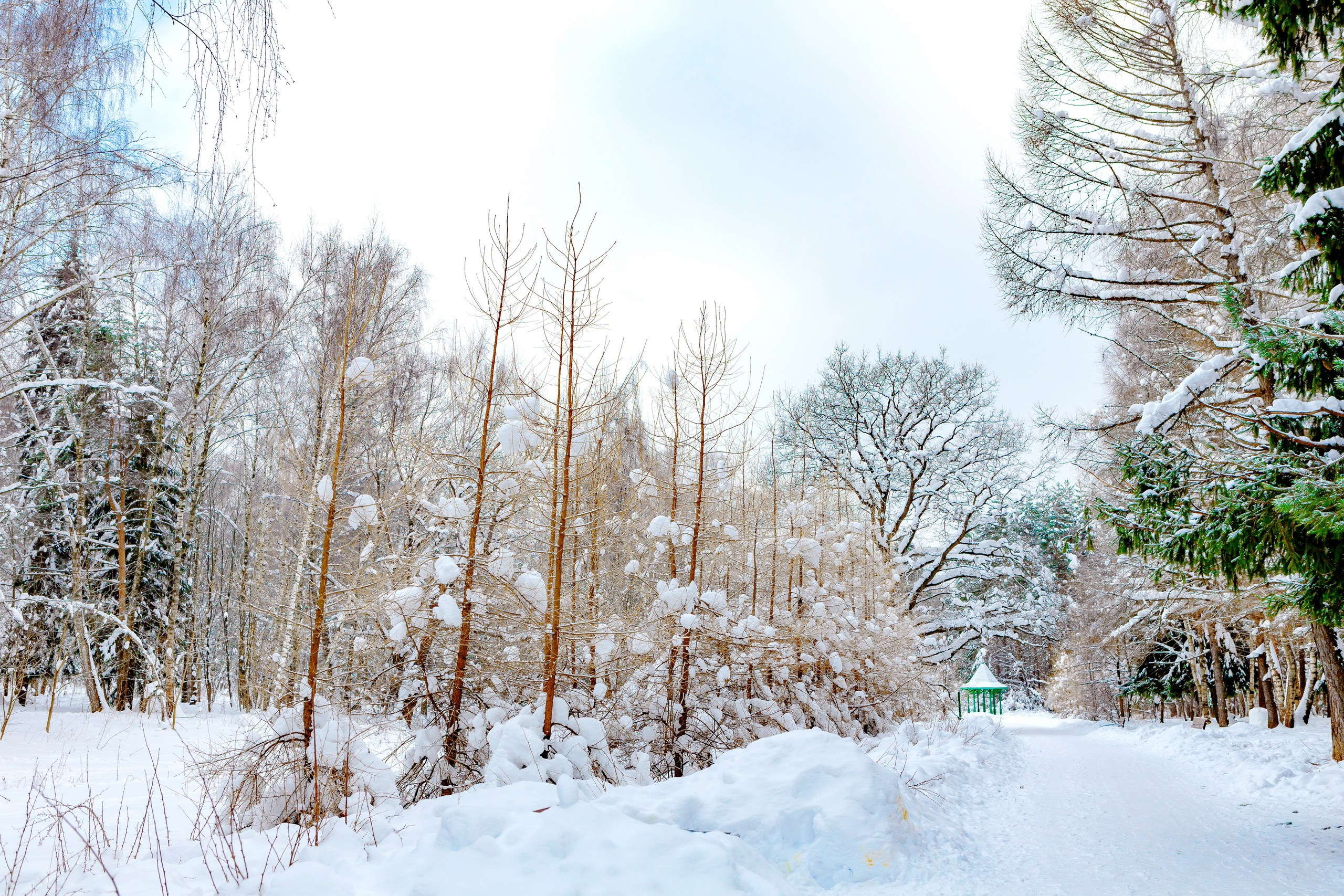 Пейзаж — галерея NATRIEL