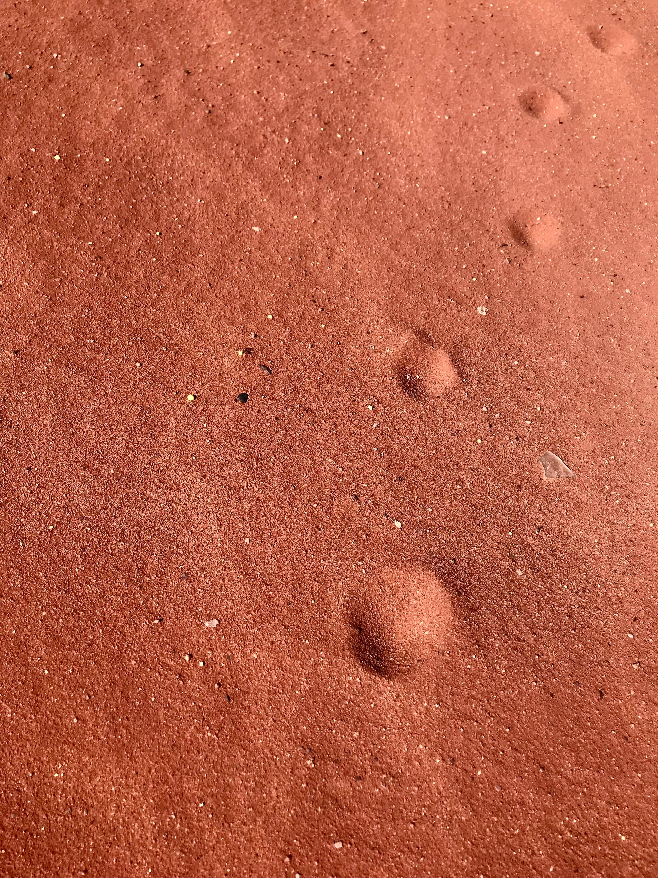 Иордания. Портретный фотограф в Москве Гульнара Миннуллина