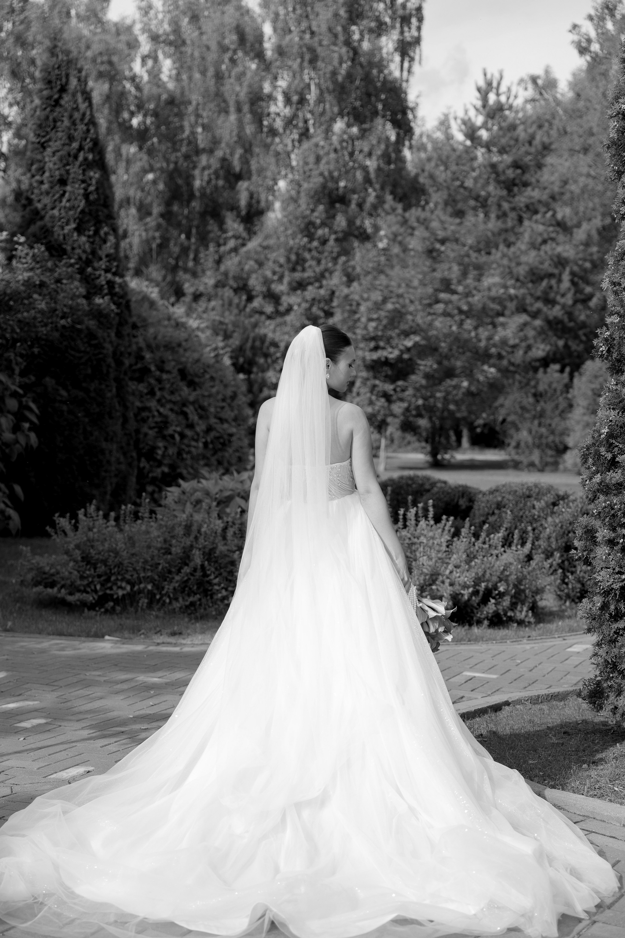 Владимир & Анна. Свадебный и репортажный фотограф