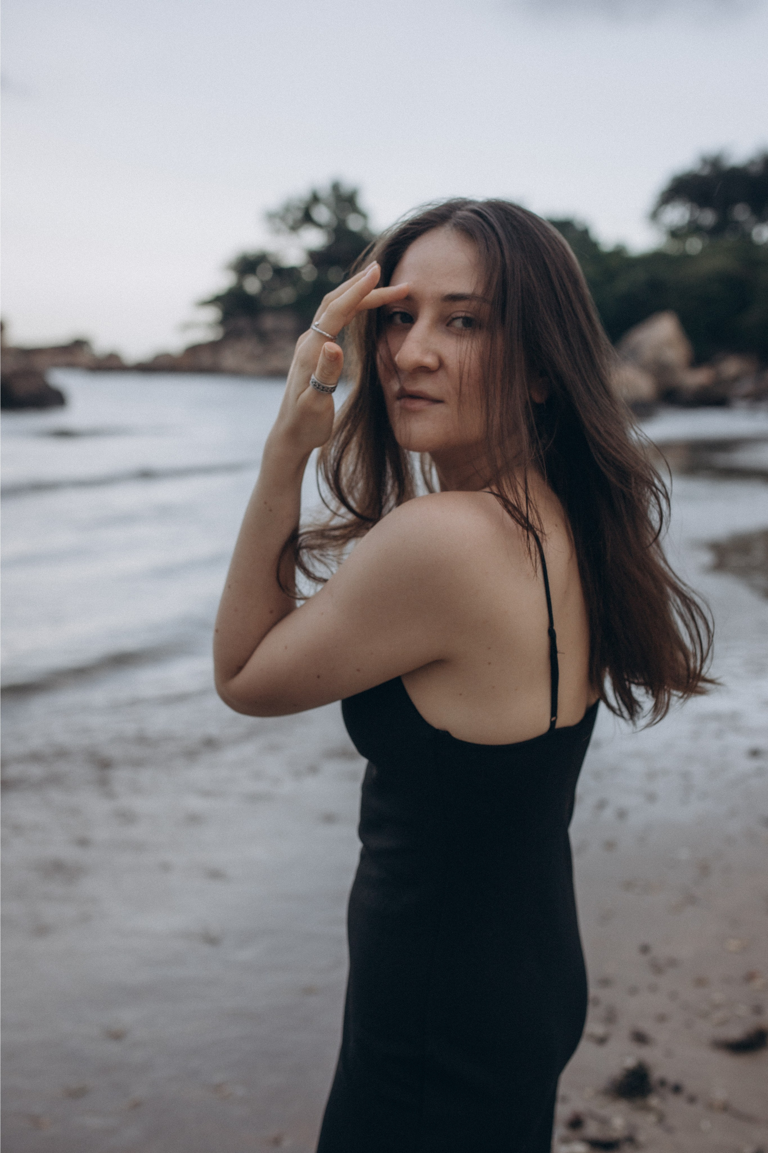 Лилия «сад камней» Вьетнам. Главная