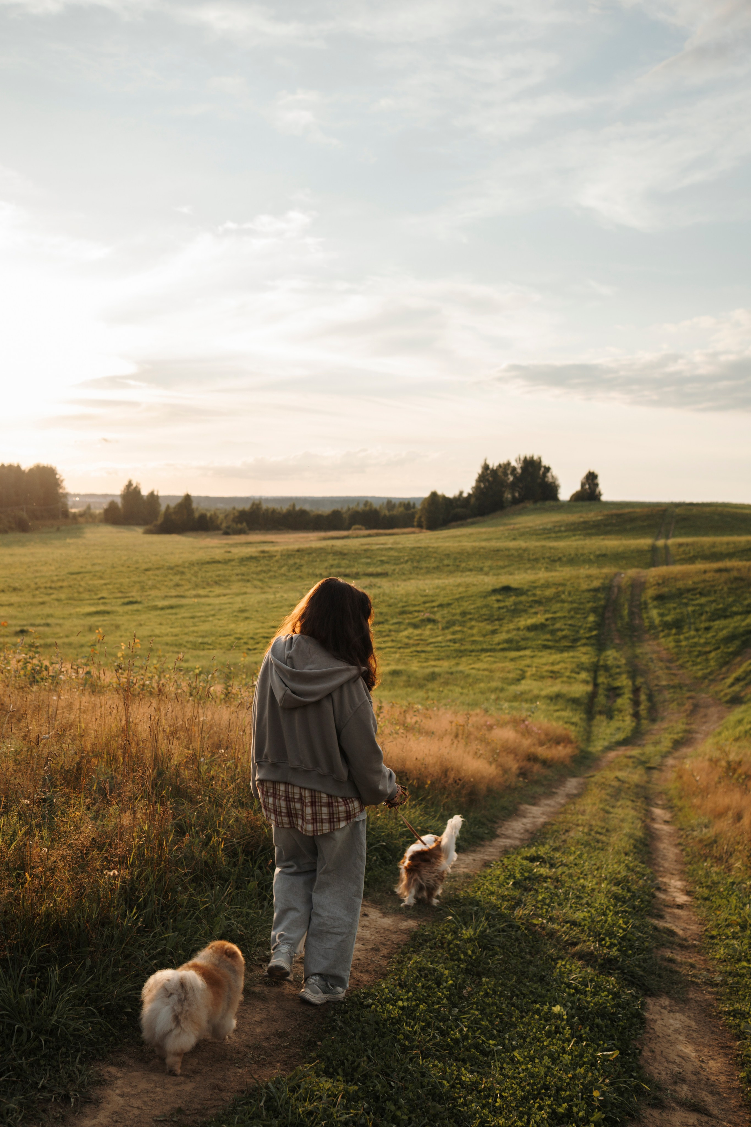 На закате Катерина, Луна и Рикки. Фотограф-анималист в Санкт-Петеребурге Титова Алиса