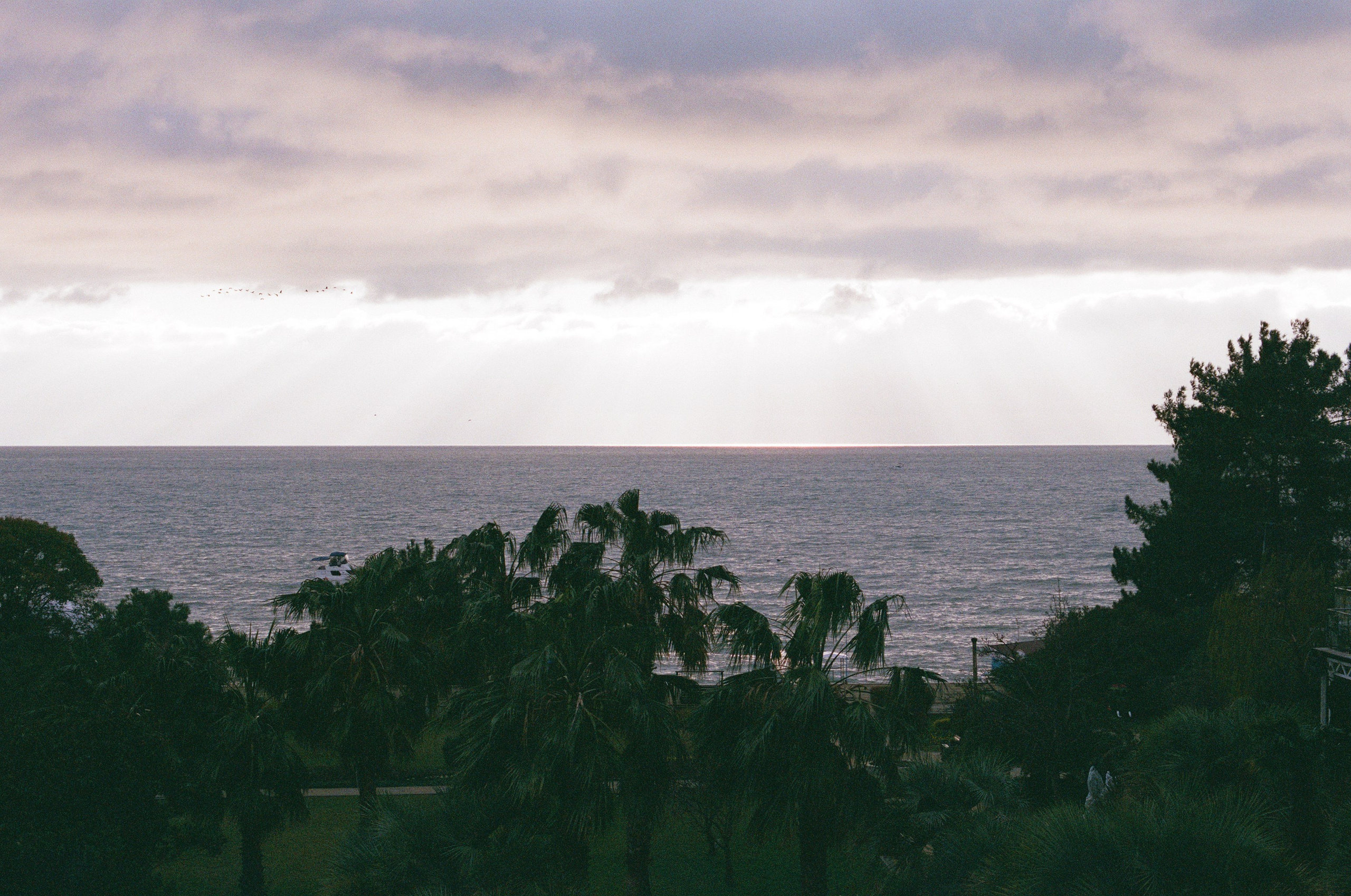 КиВиН-2024. #спецкорНвер