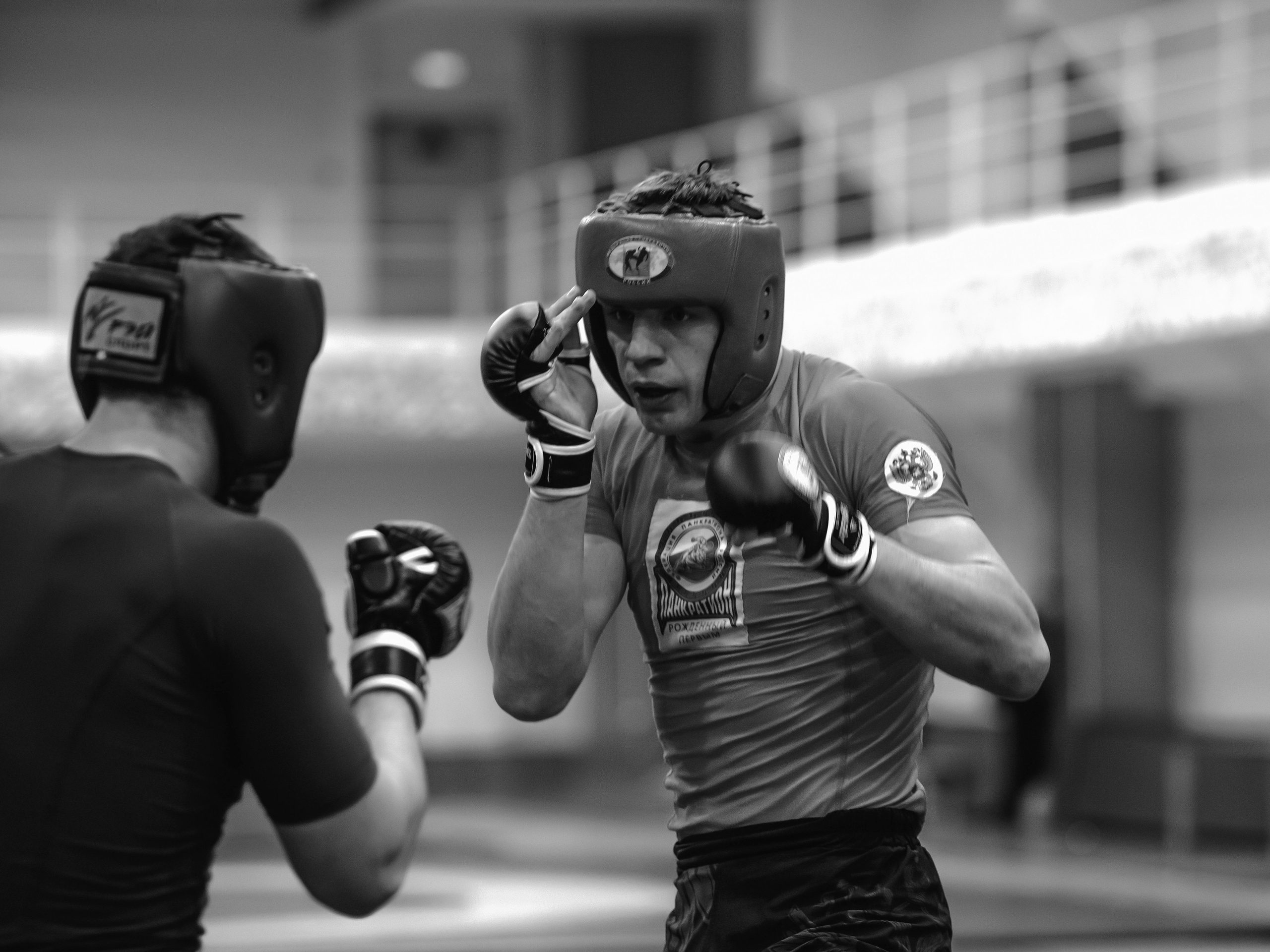 Кубок России по спортивной борьбе панкратион `23. Портретный фотограф в Москве Дарья Цезария