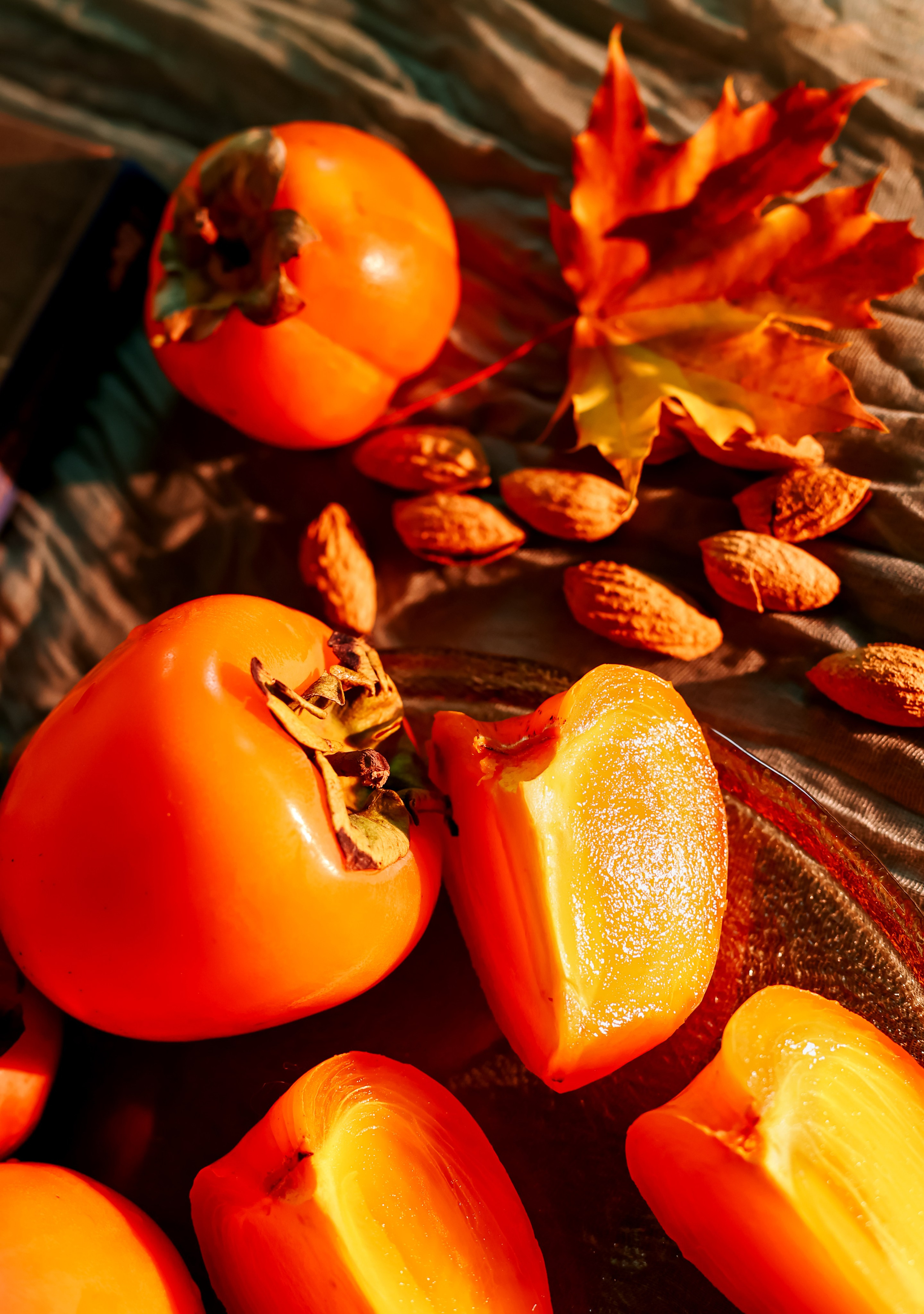 Предметная съемка, цветы, открытки. Фотограф — Татьяна Кириллова, г. Санкт-Петербург