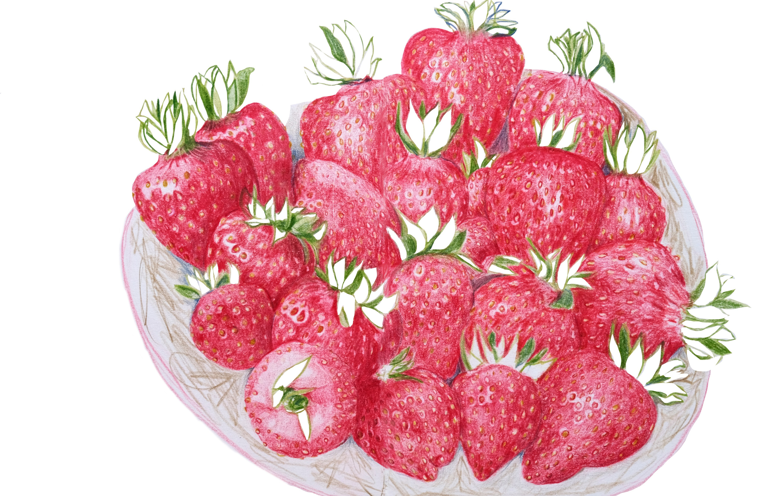 Карандаши. Аня Степанова