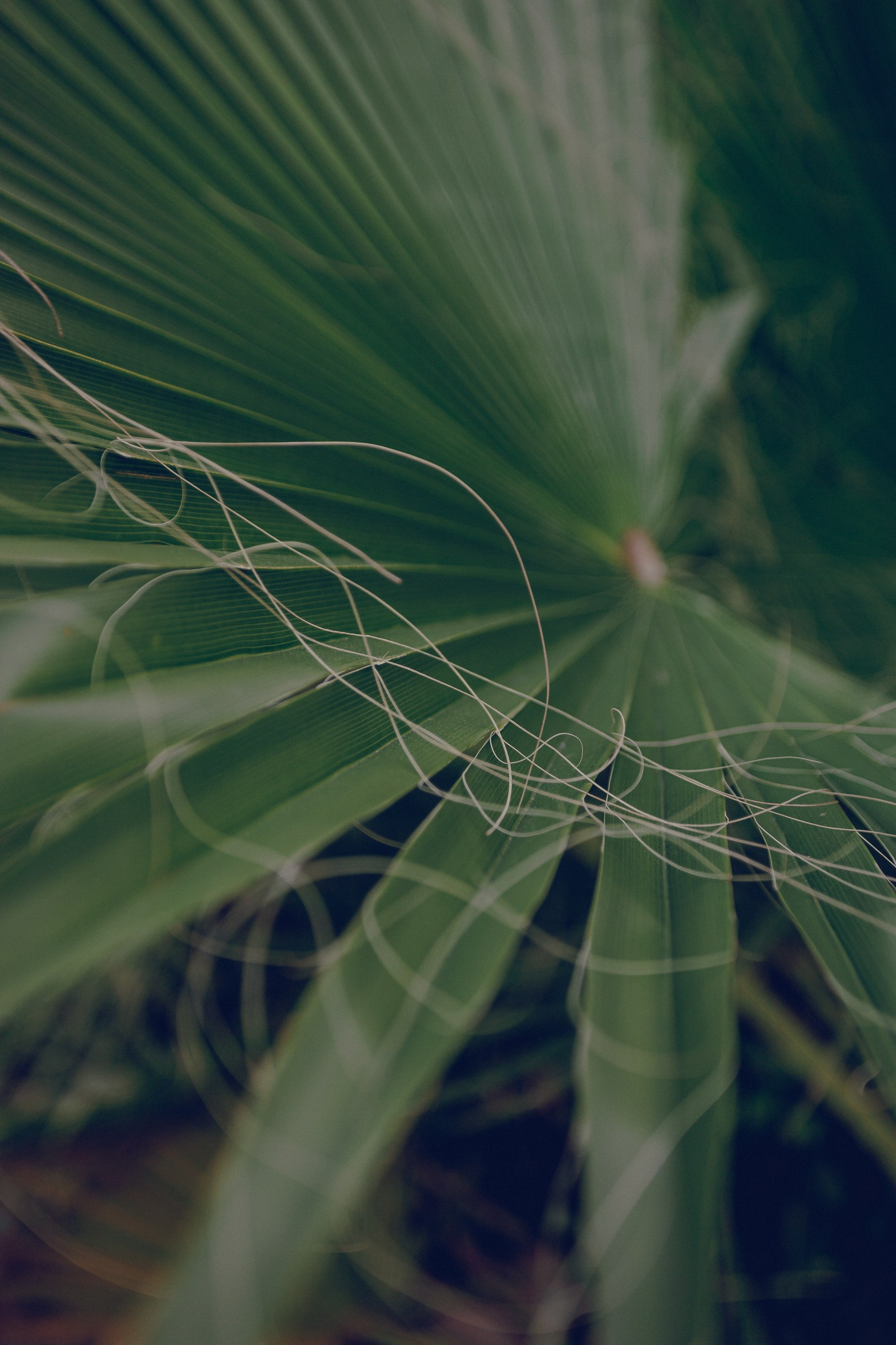 глубина резкости