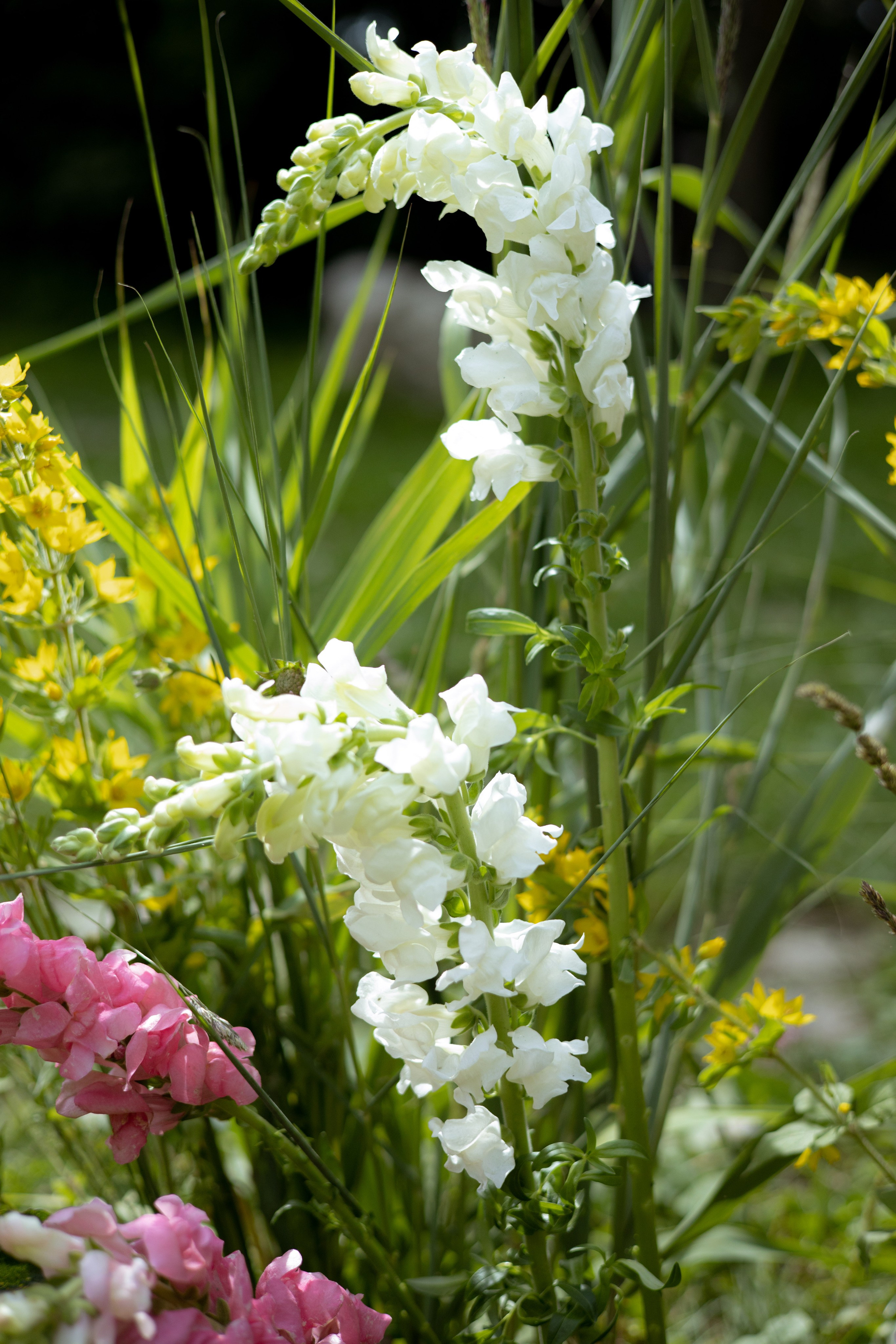 Павел & Полина. Оформление свадеб, декор свадеб Вера Маркова, Москва
