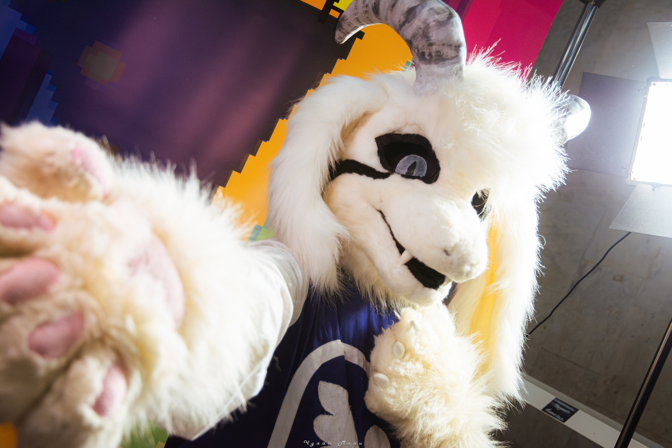 UnderParty: Deltarune Event | 28.02.26. Маля фотограф: Художественные съёмки и репортажи в Москве