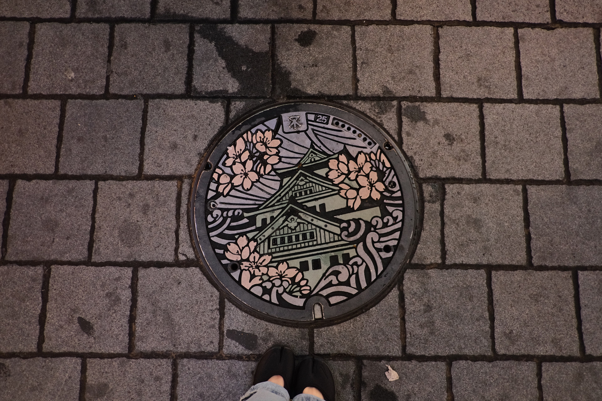 Japan 2026. Фотограф в Москве Daria Lens
