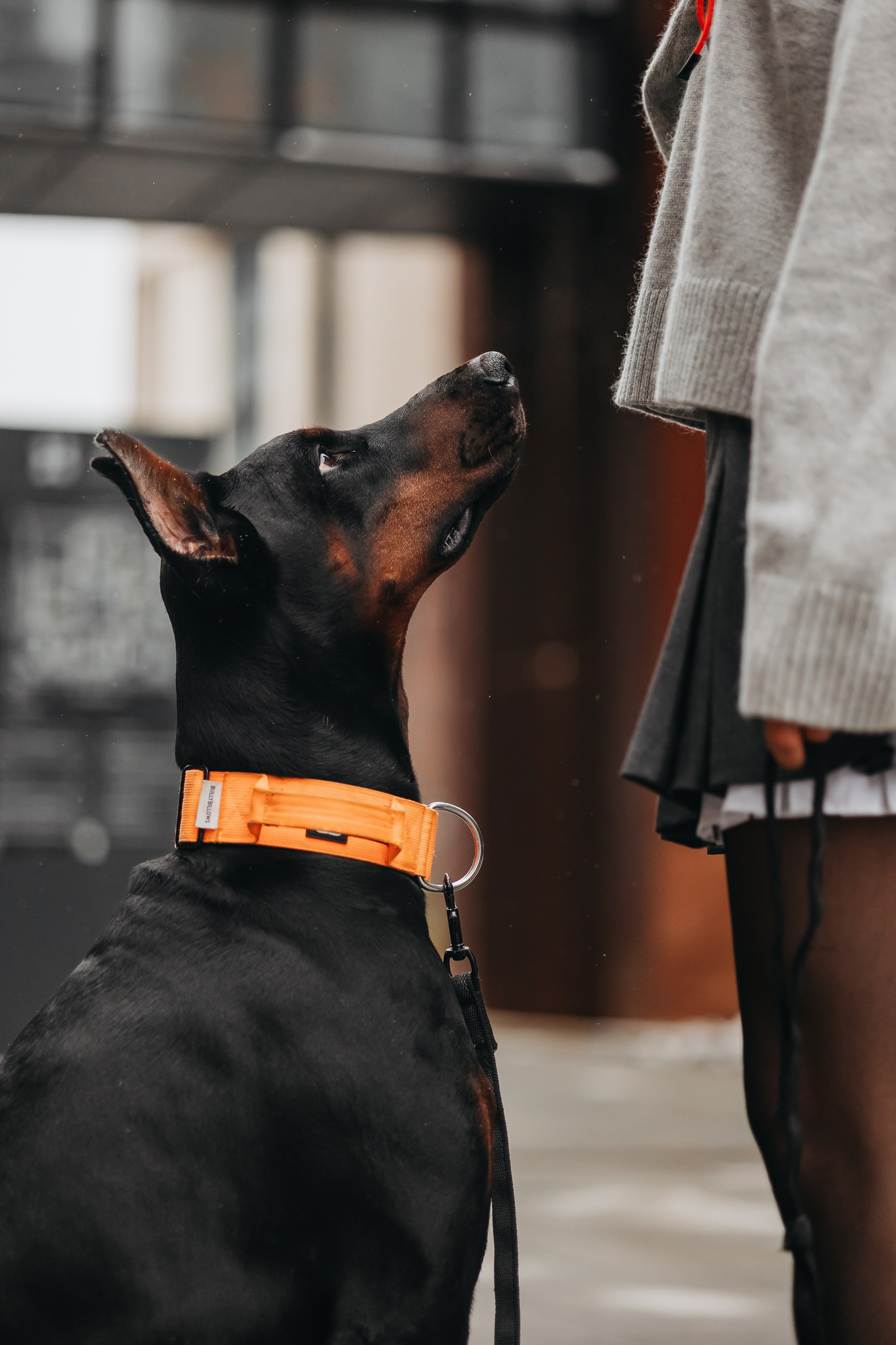 Дари и Гранд. Фотограф-анималист в Санкт-Петербурге Алина Яхонт