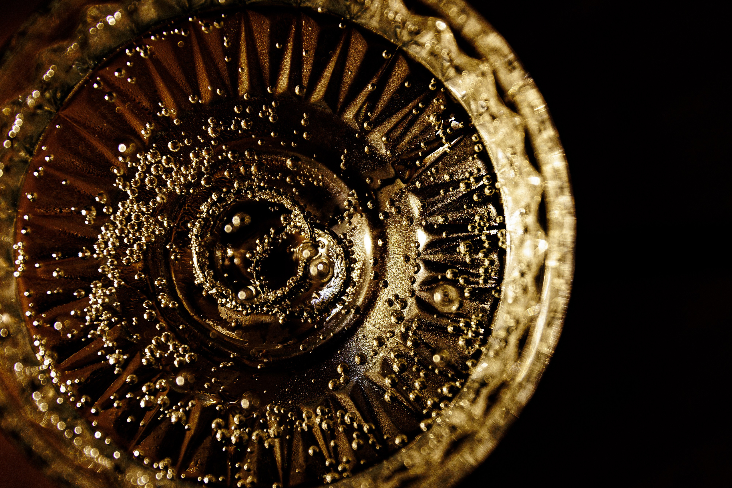 Алина & Алексей. Свадебный и семейный фотограф Татьяна Селезнева