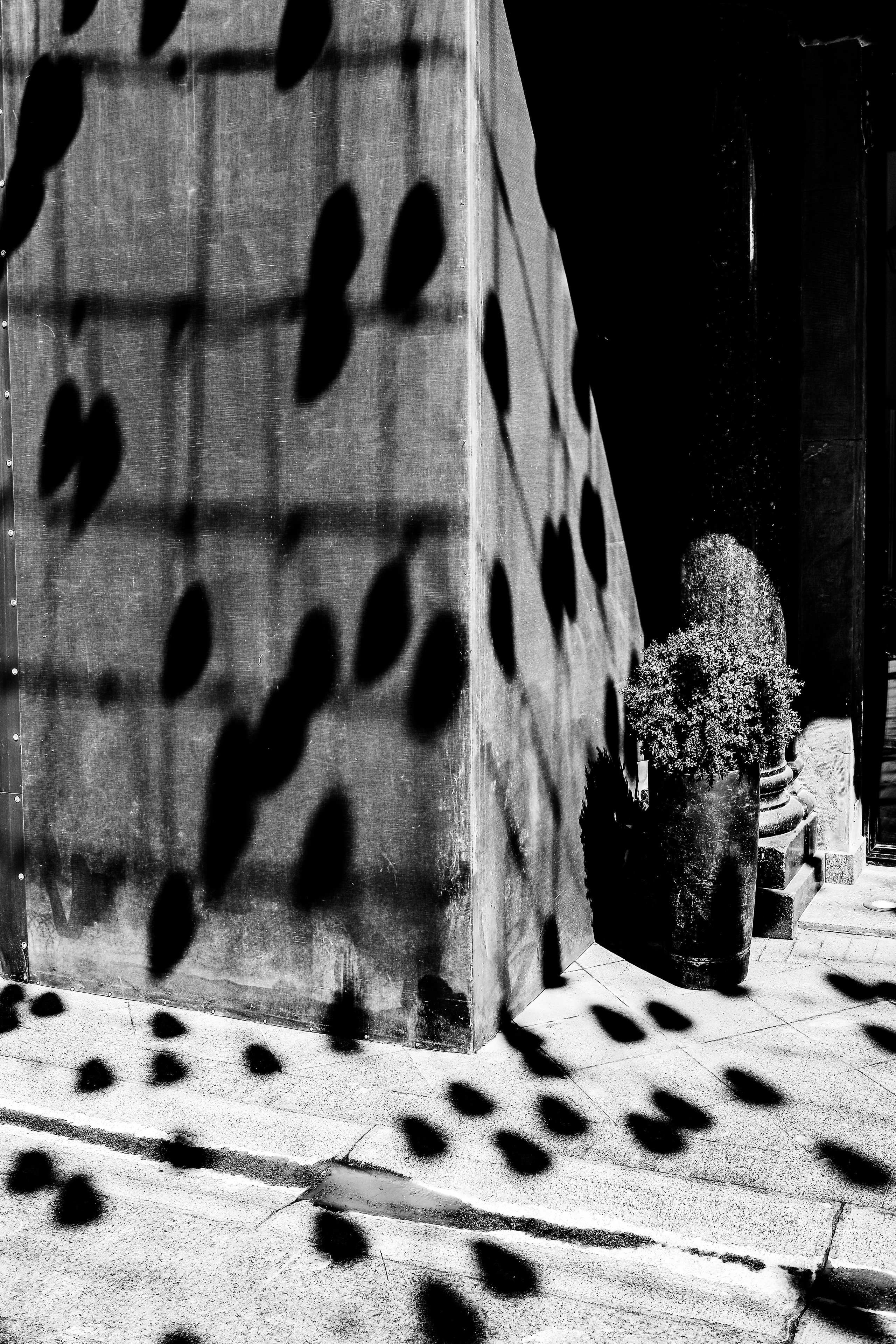 II. Стас Привалов