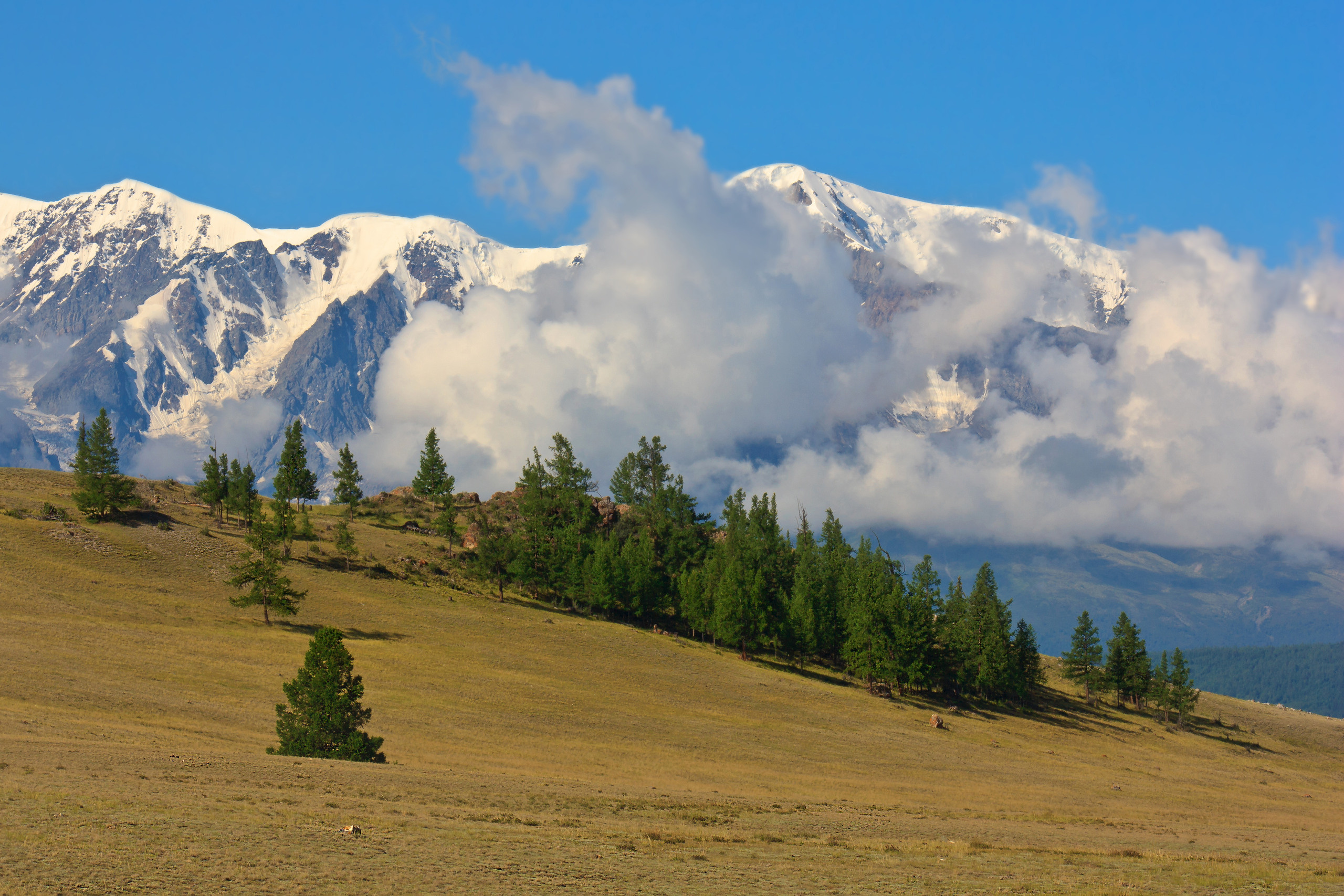 Горный Алтай, люди и природа. Фотограф для хороших людей в Юрге, Томске, Кемерово, Республике Алтай