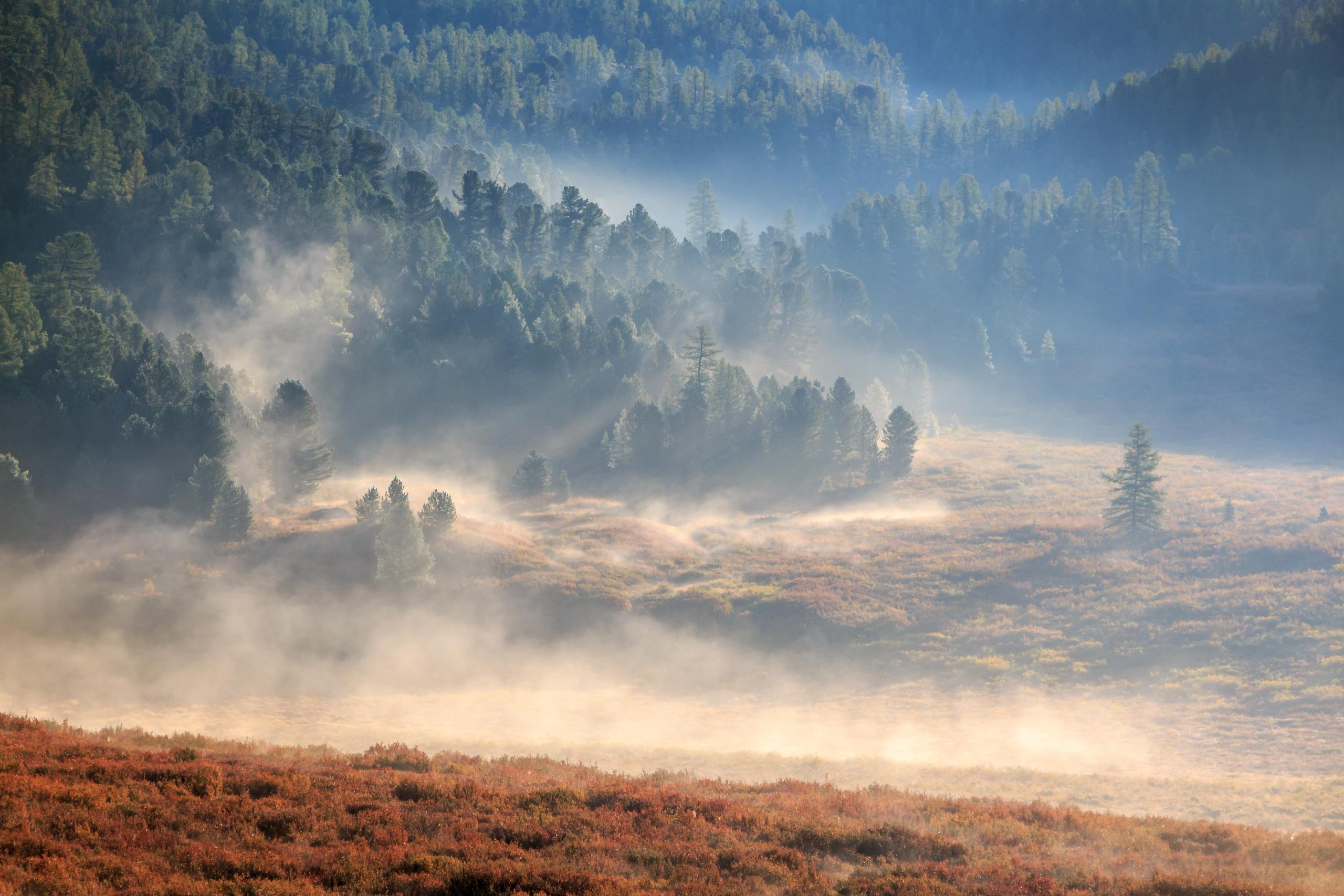 Горный Алтай, люди и природа. Фотограф для хороших людей в Юрге, Томске, Кемерово, Республике Алтай