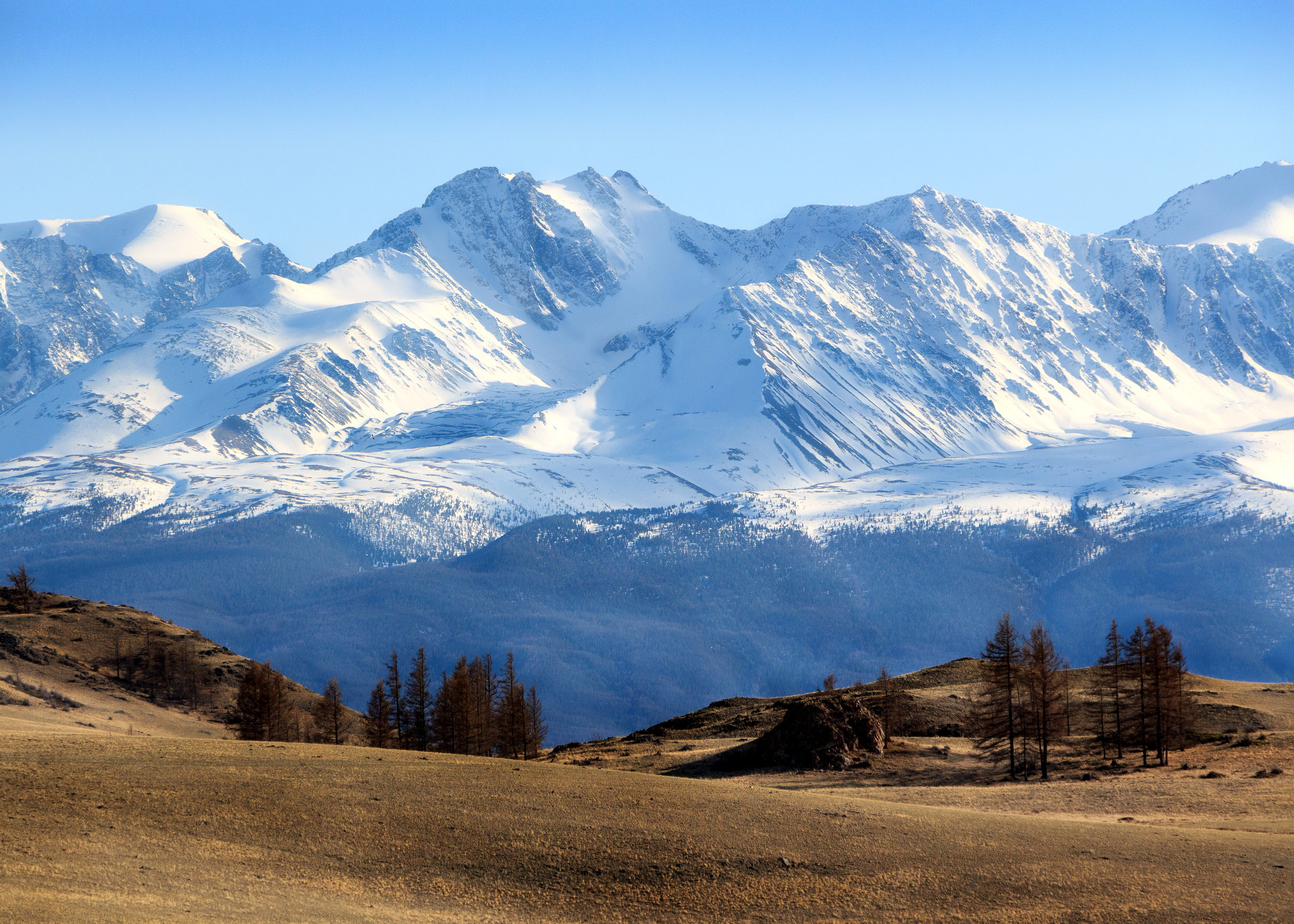 Горный Алтай, люди и природа. Фотограф для хороших людей в Юрге, Томске, Кемерово, Республике Алтай