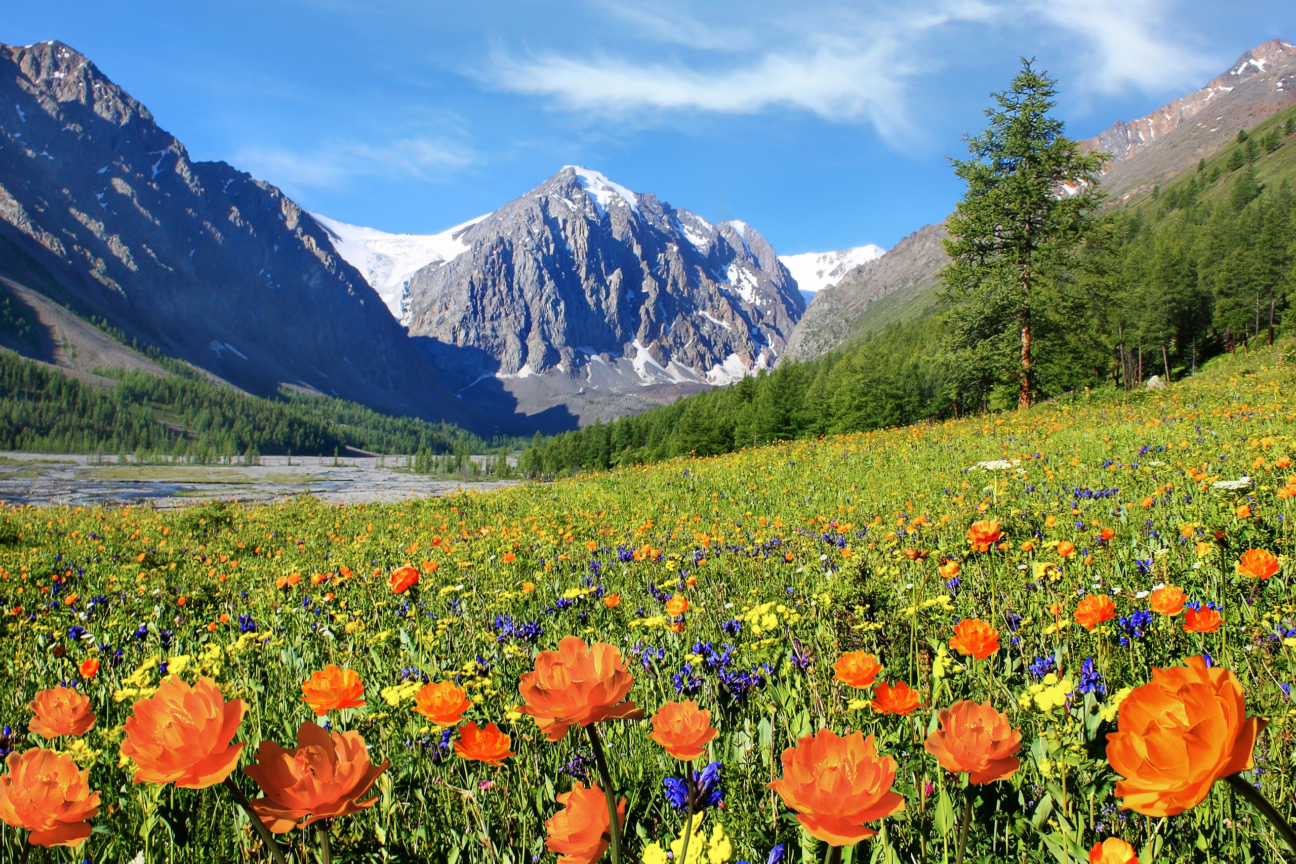 Горный Алтай, люди и природа. Фотограф для хороших людей в Юрге, Томске, Кемерово, Республике Алтай