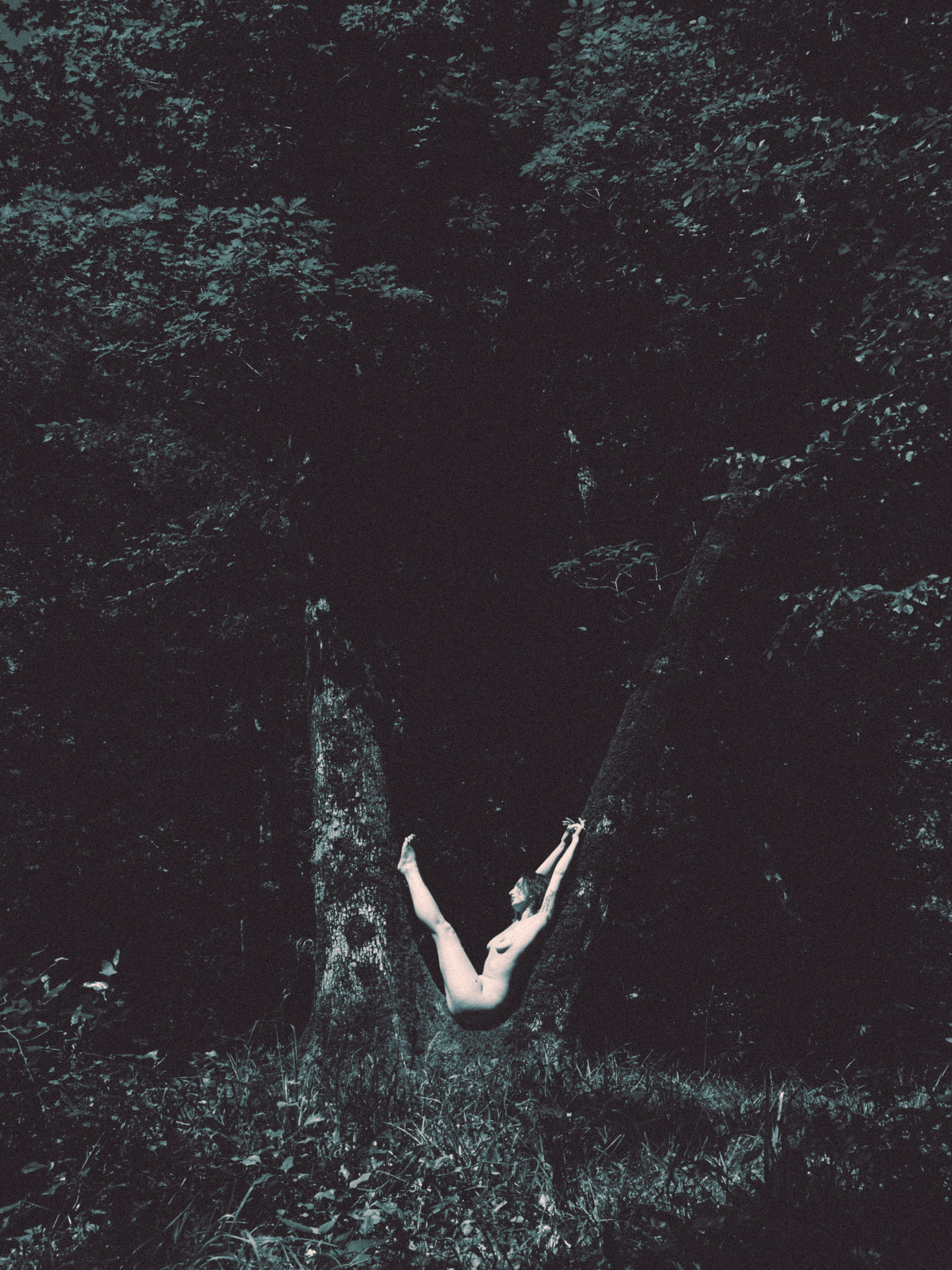 художественный фотограф 