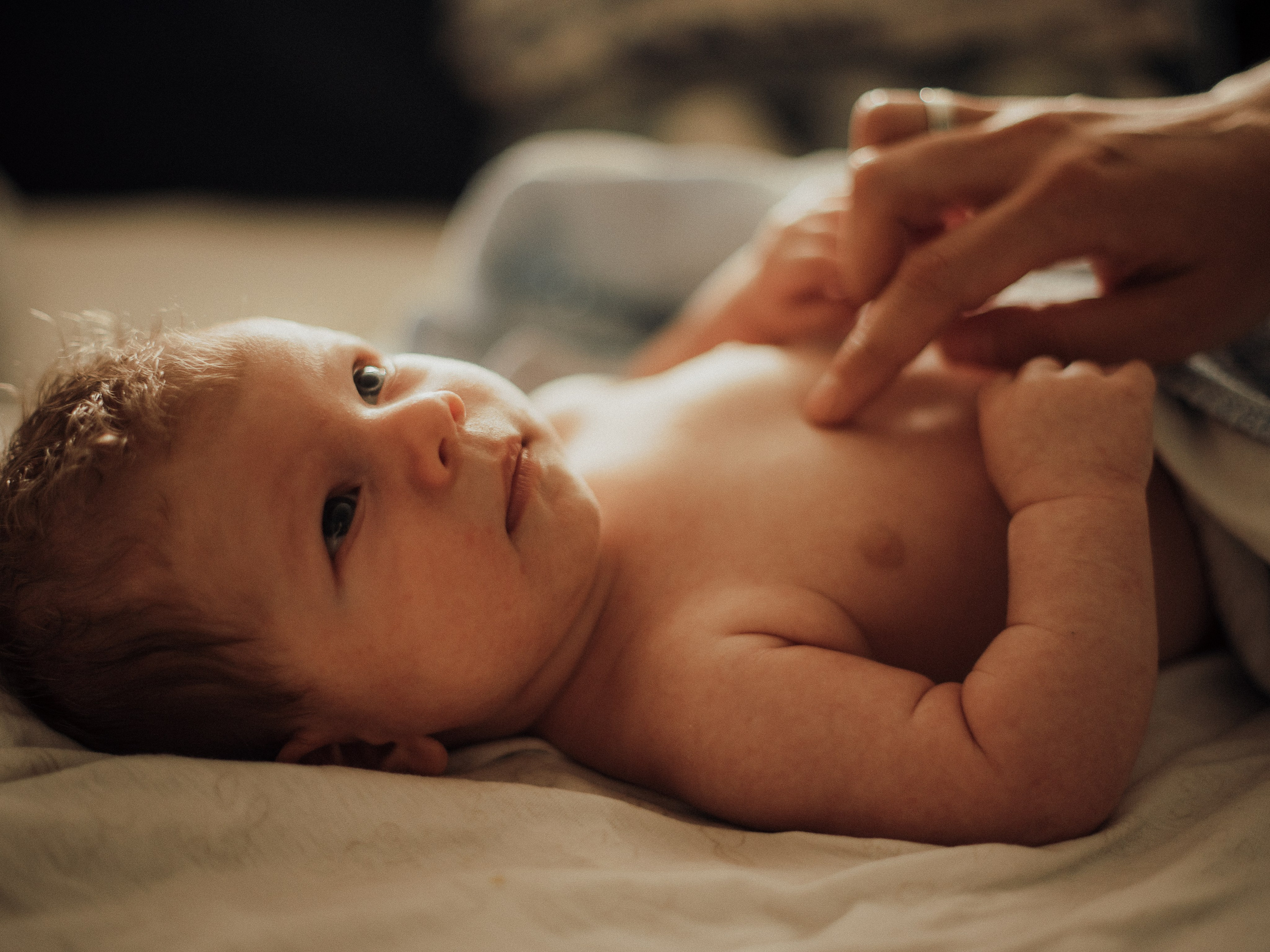 Домашняя фотоистория. Фотограф Любовь Подосенова Липецк|Воронеж