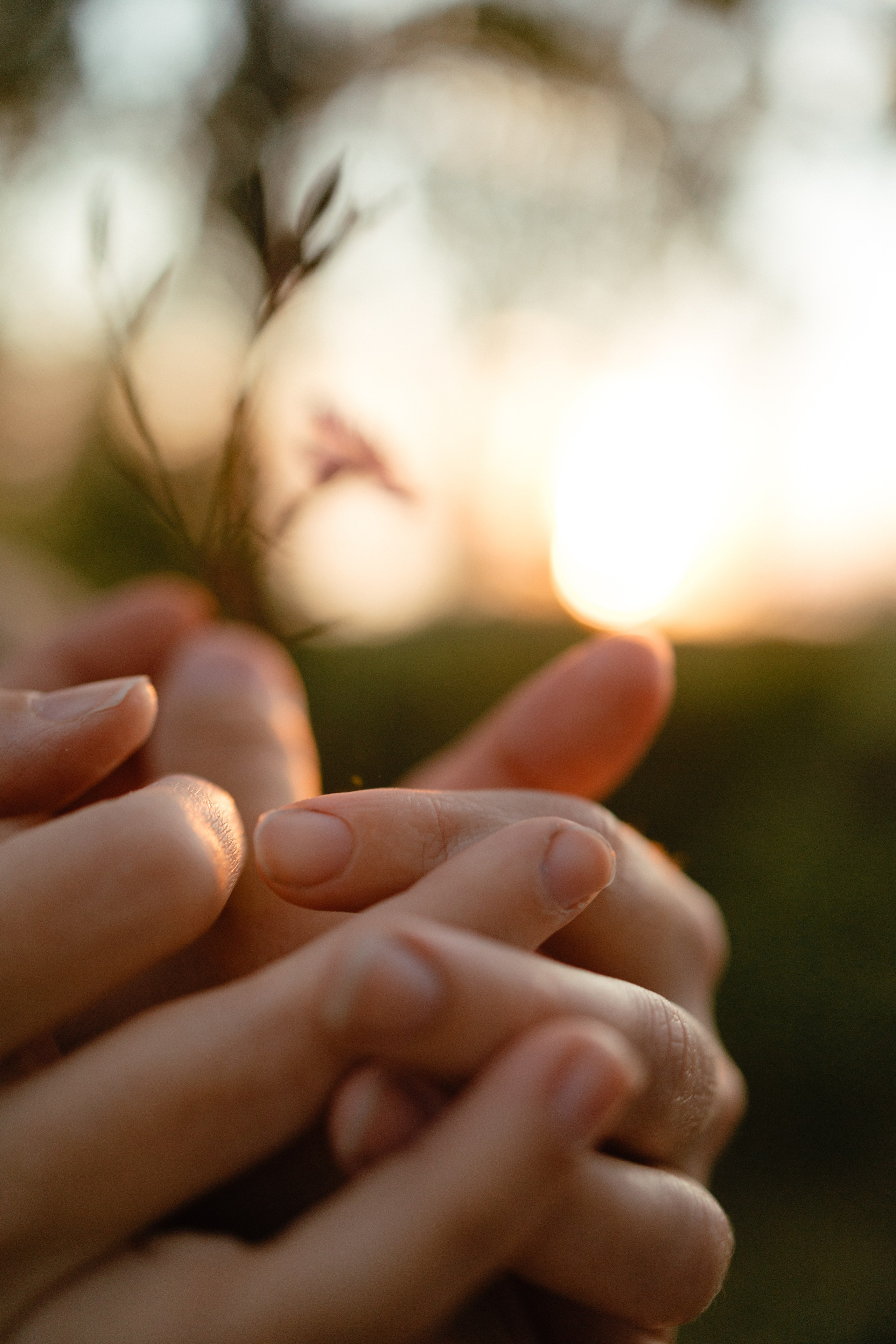 Love in the fields. Свадебный и семейный фотограф. Озерск, Челябинск и Екатеринбург