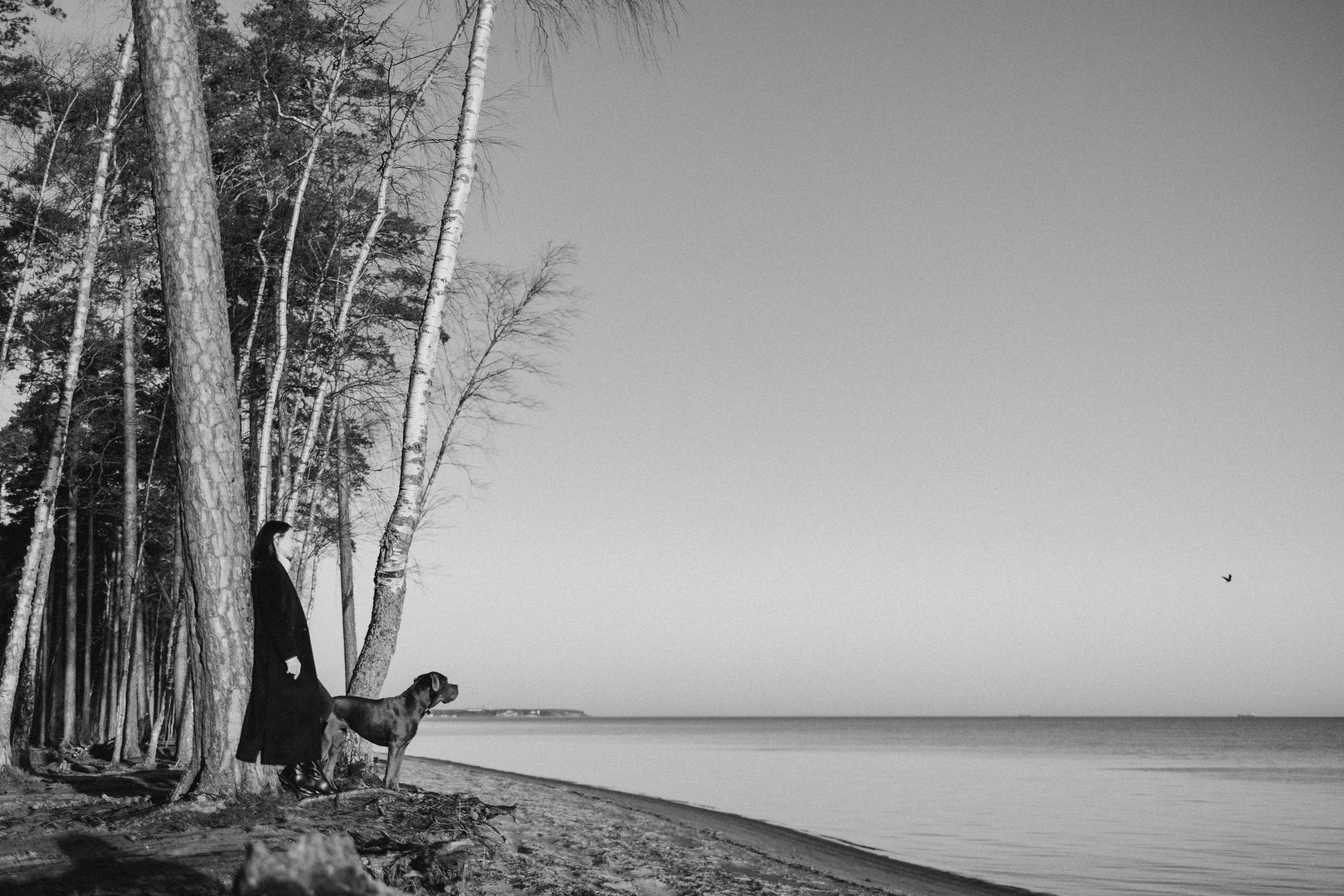 Анна и Лана. Фотограф — Анималист | Санкт-Петербург