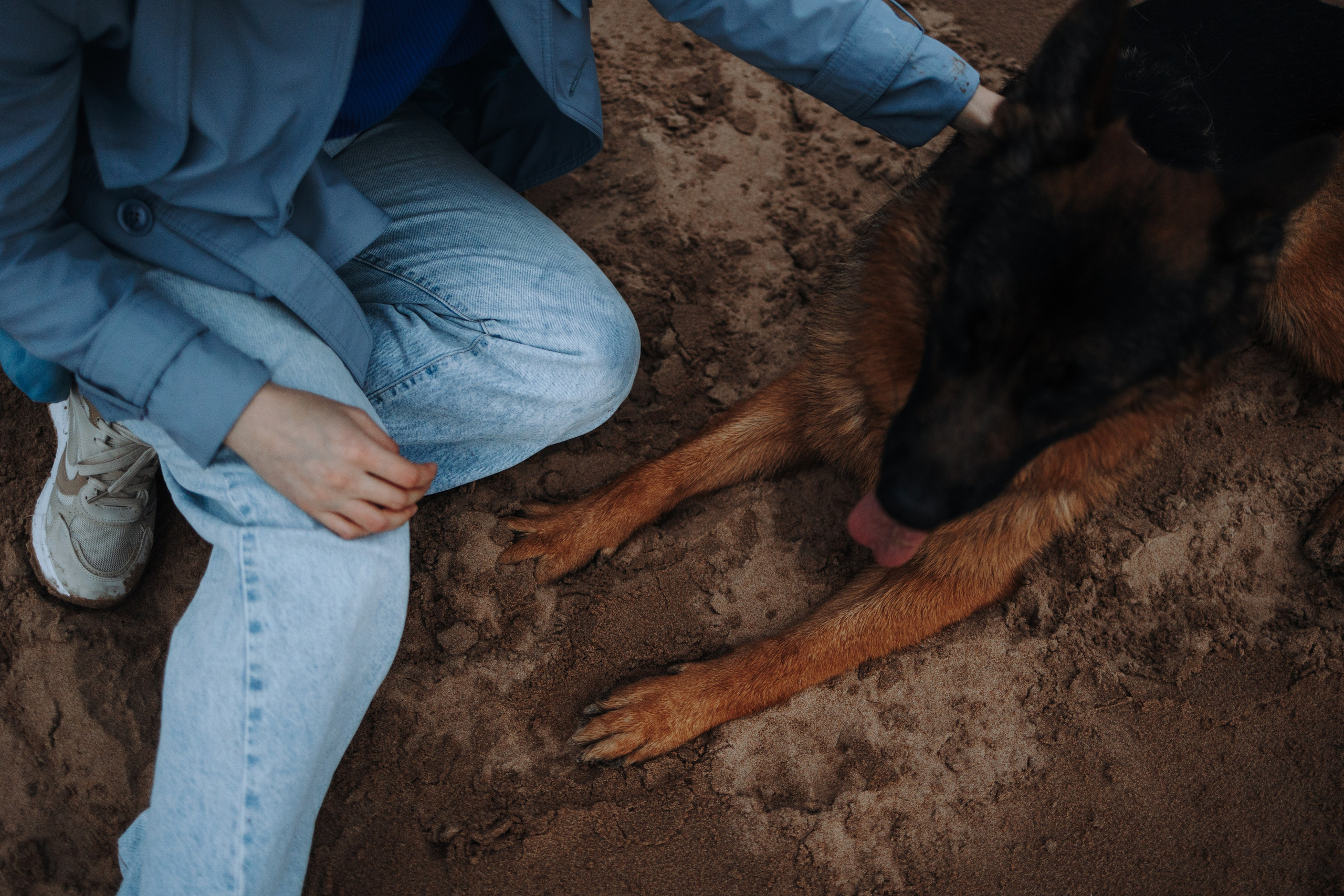 Катя и Агат. Фотограф — Анималист | Санкт-Петербург