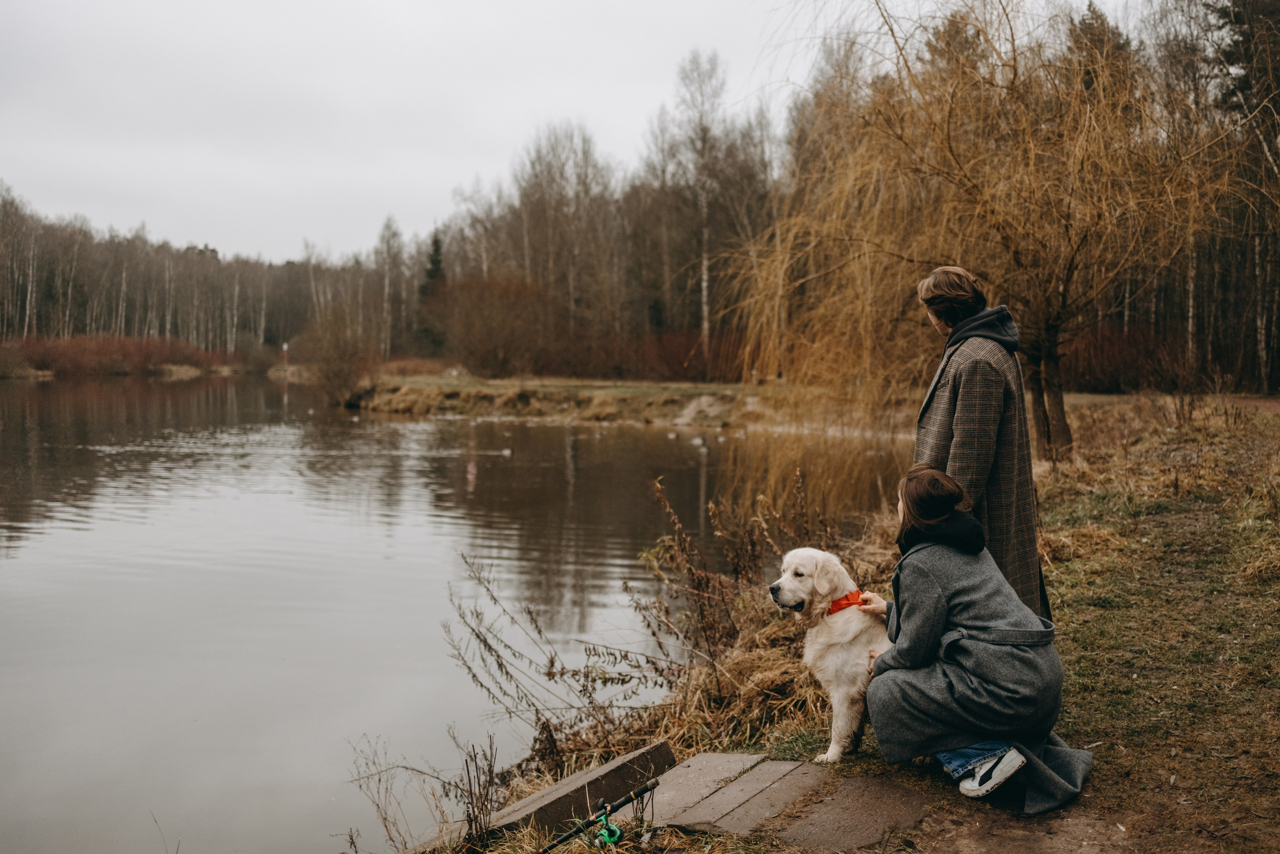 Лаки и его семья. Фотограф — Анималист | Санкт-Петербург