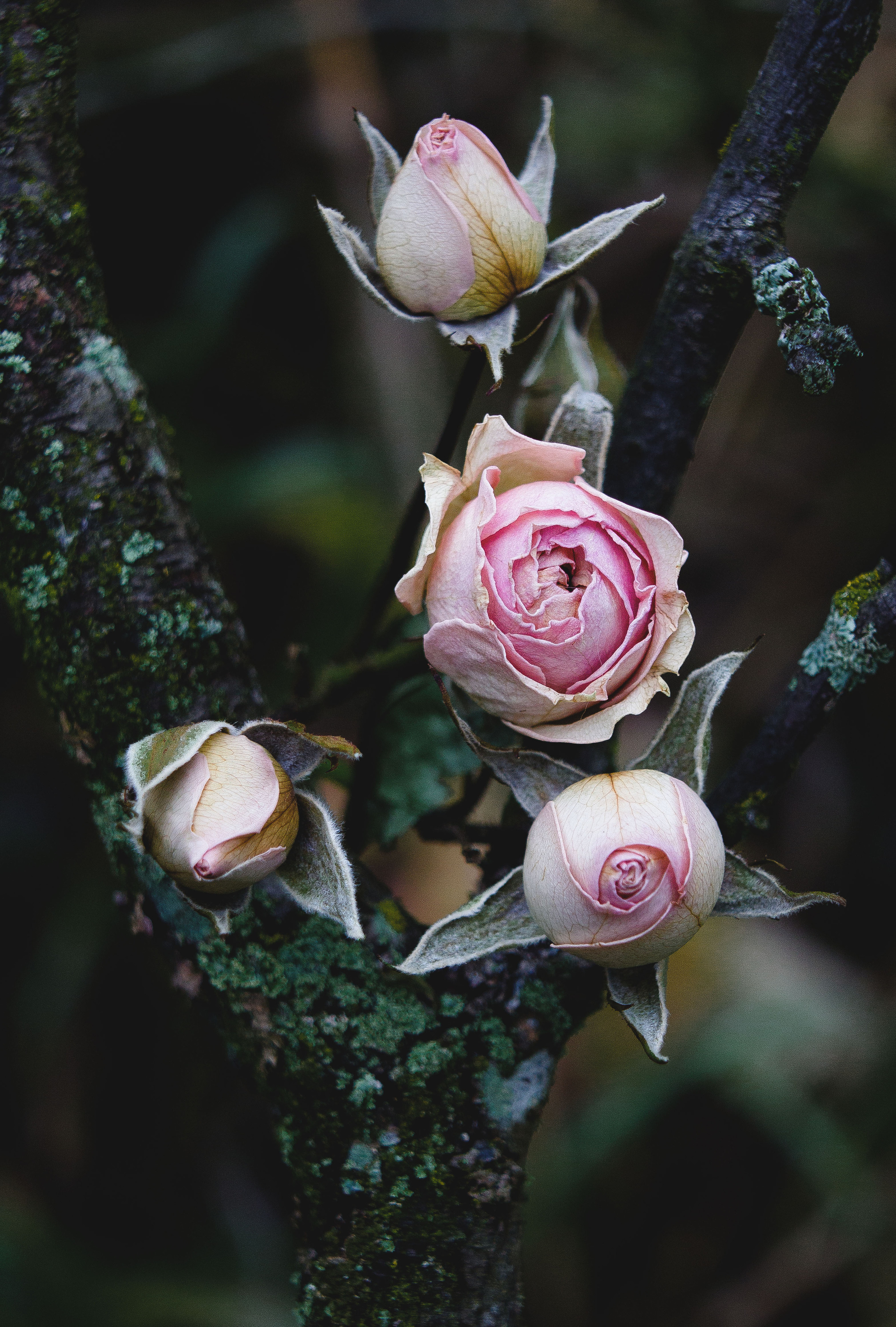 Природное. Обо всём