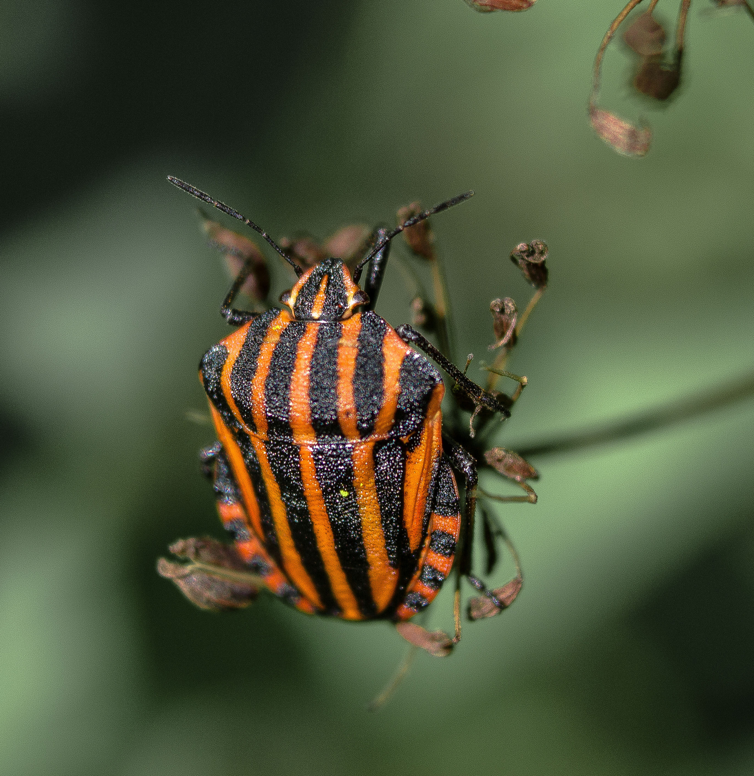 Макро. Обо всём