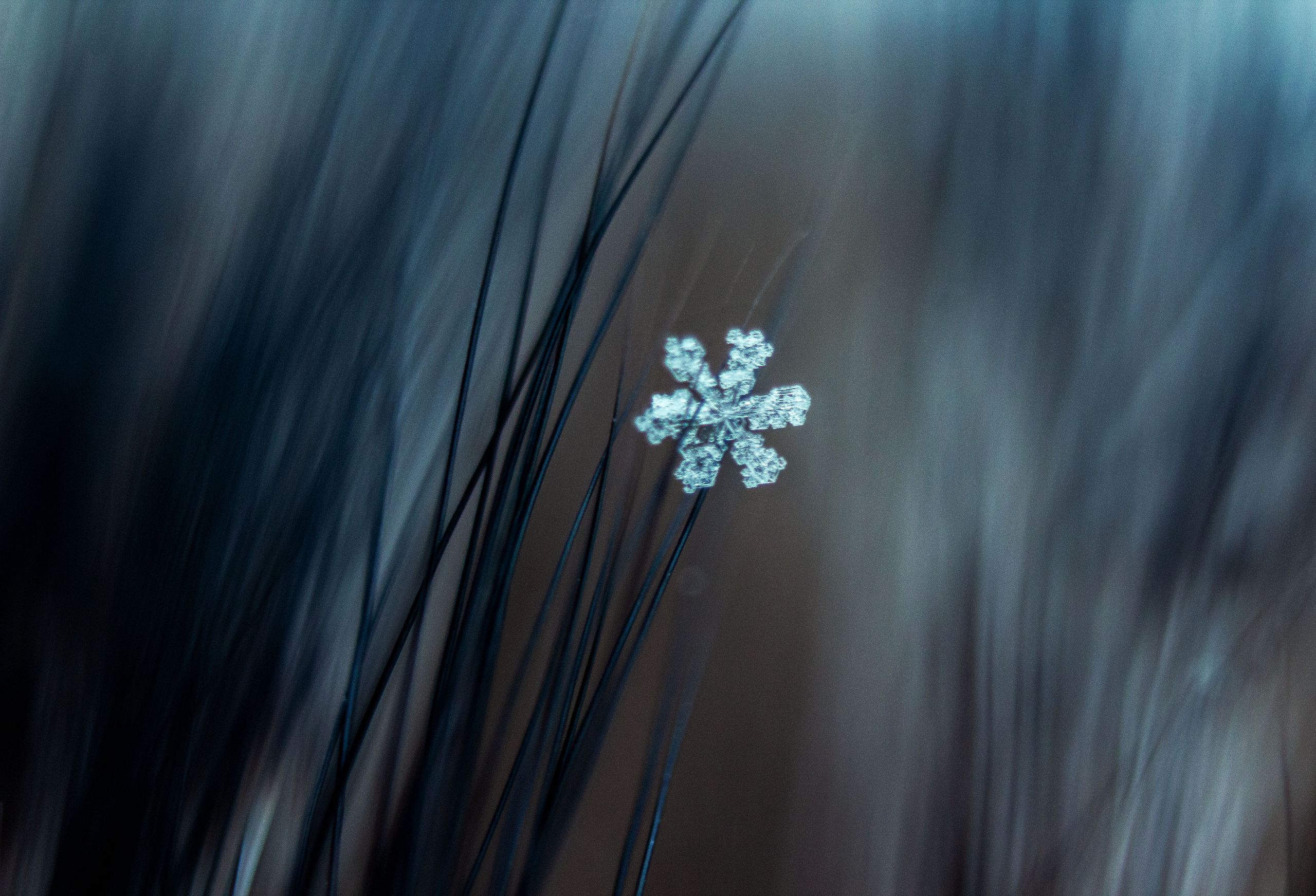 Макро. Обо всём