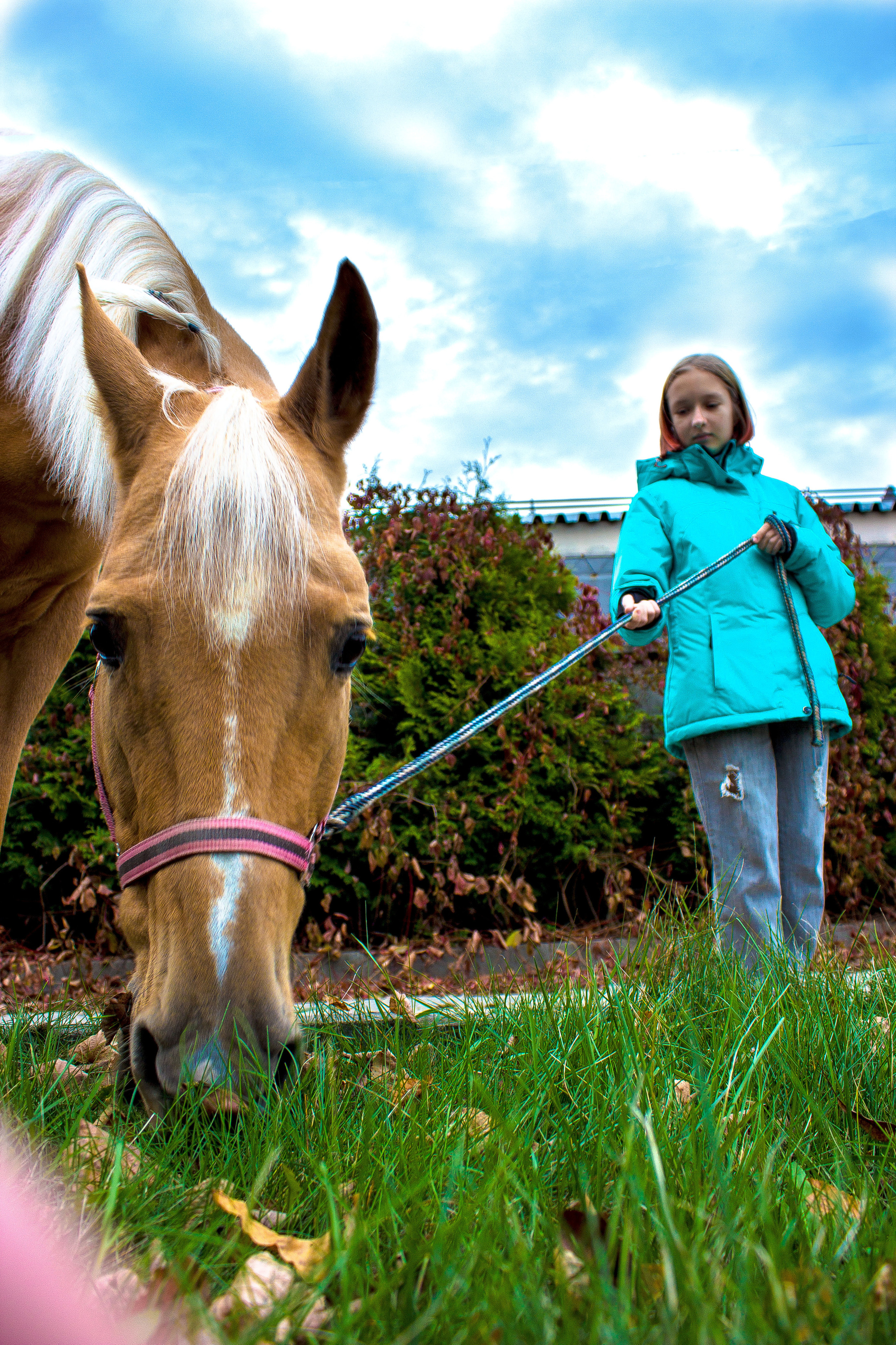 Жизнь. Обо всём