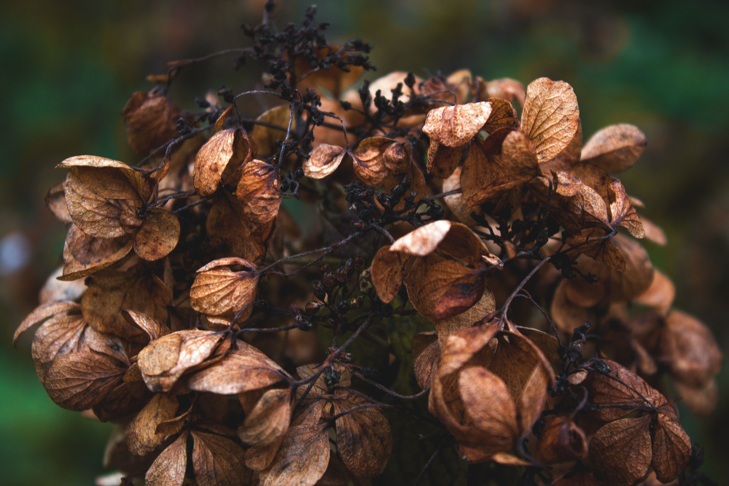 Природное. Обо всём