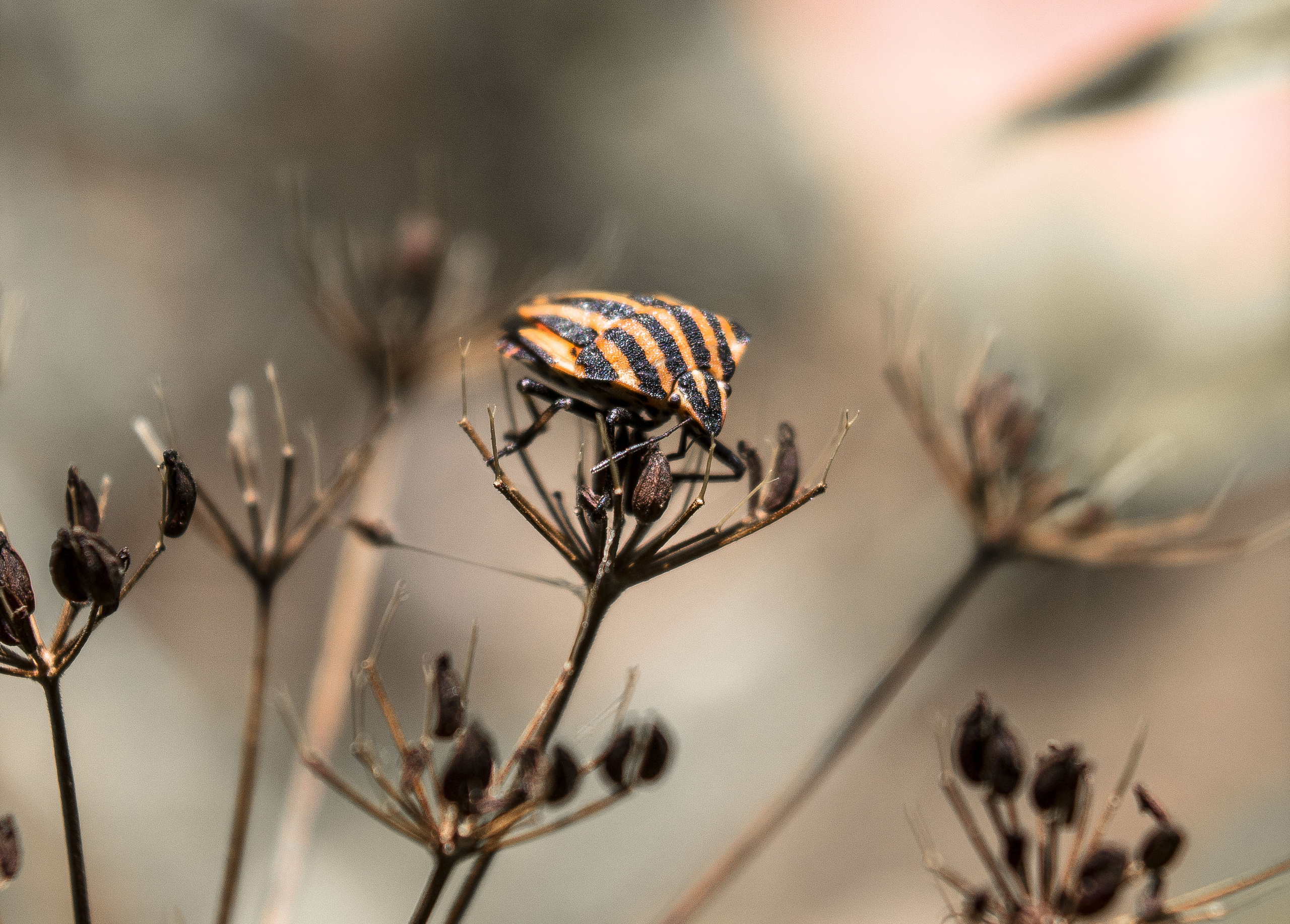 Макро. Обо всём