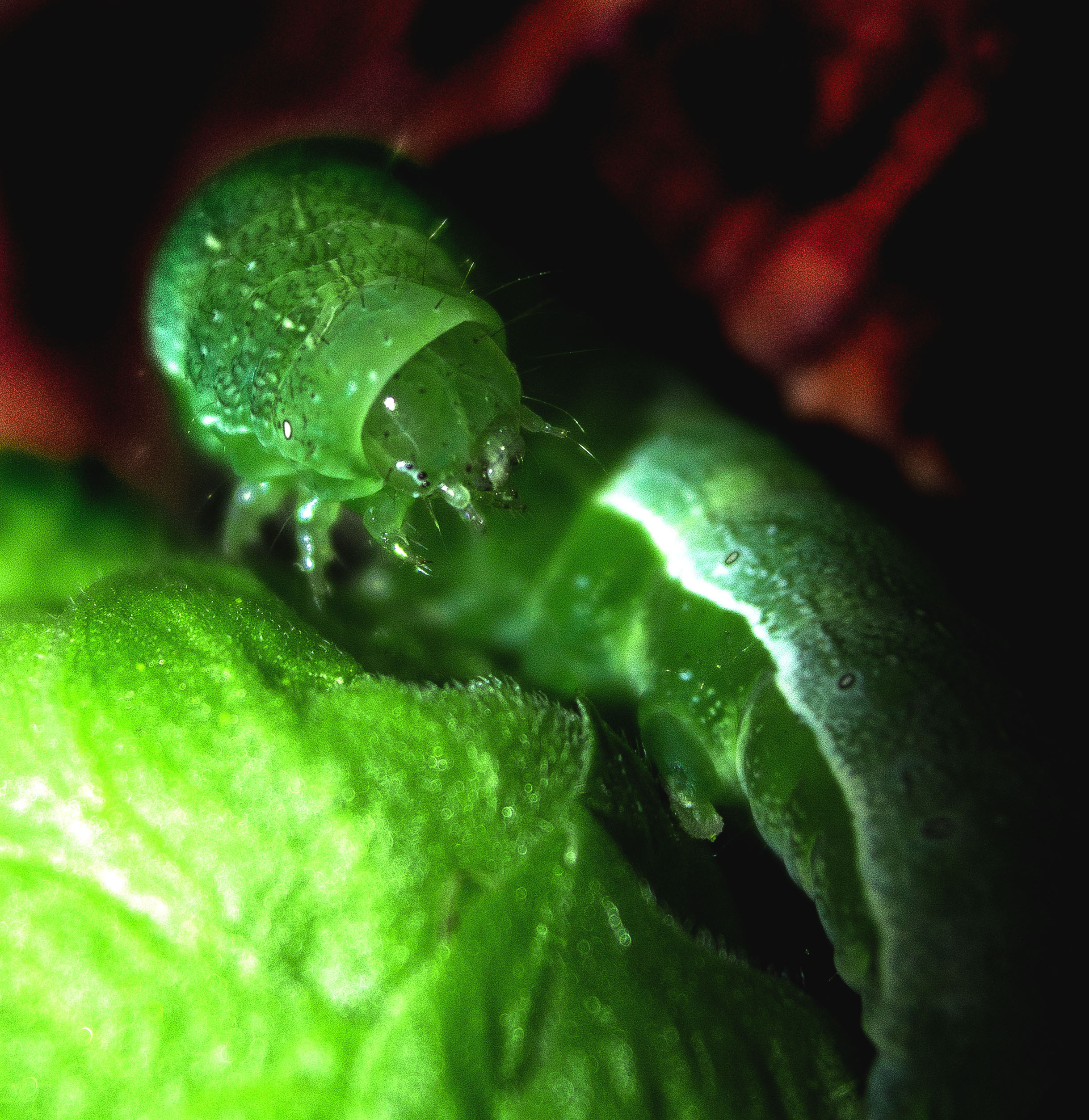 Макро. Обо всём