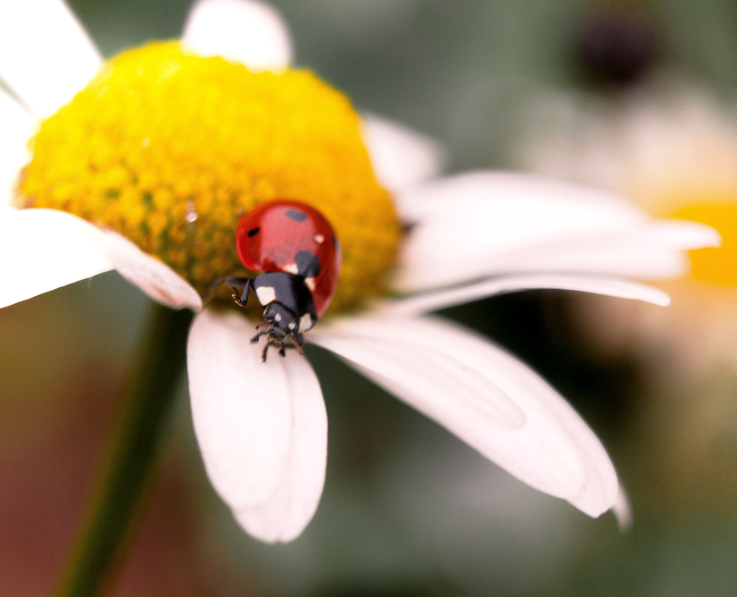 Макро. Обо всём