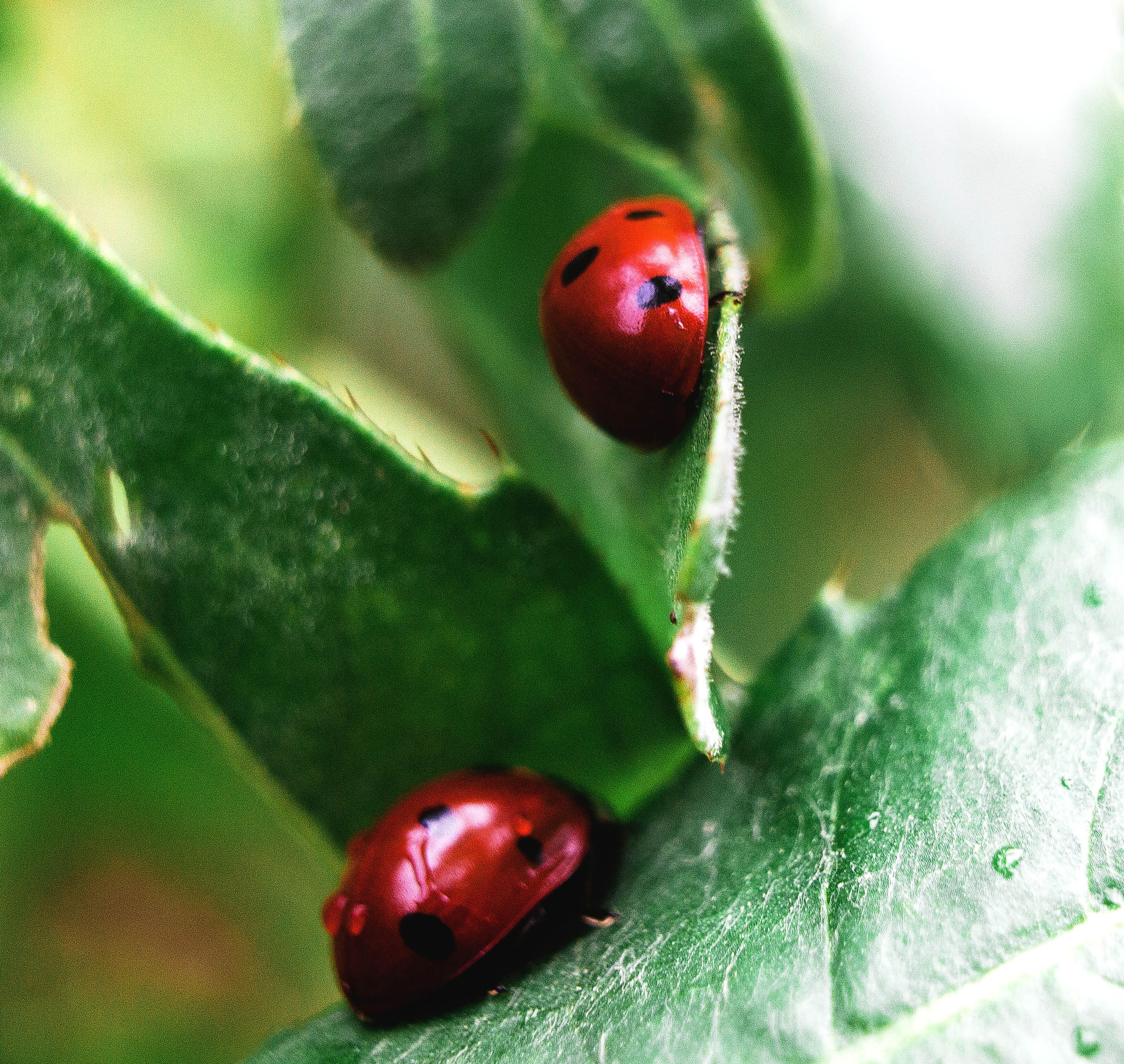 Макро. Обо всём