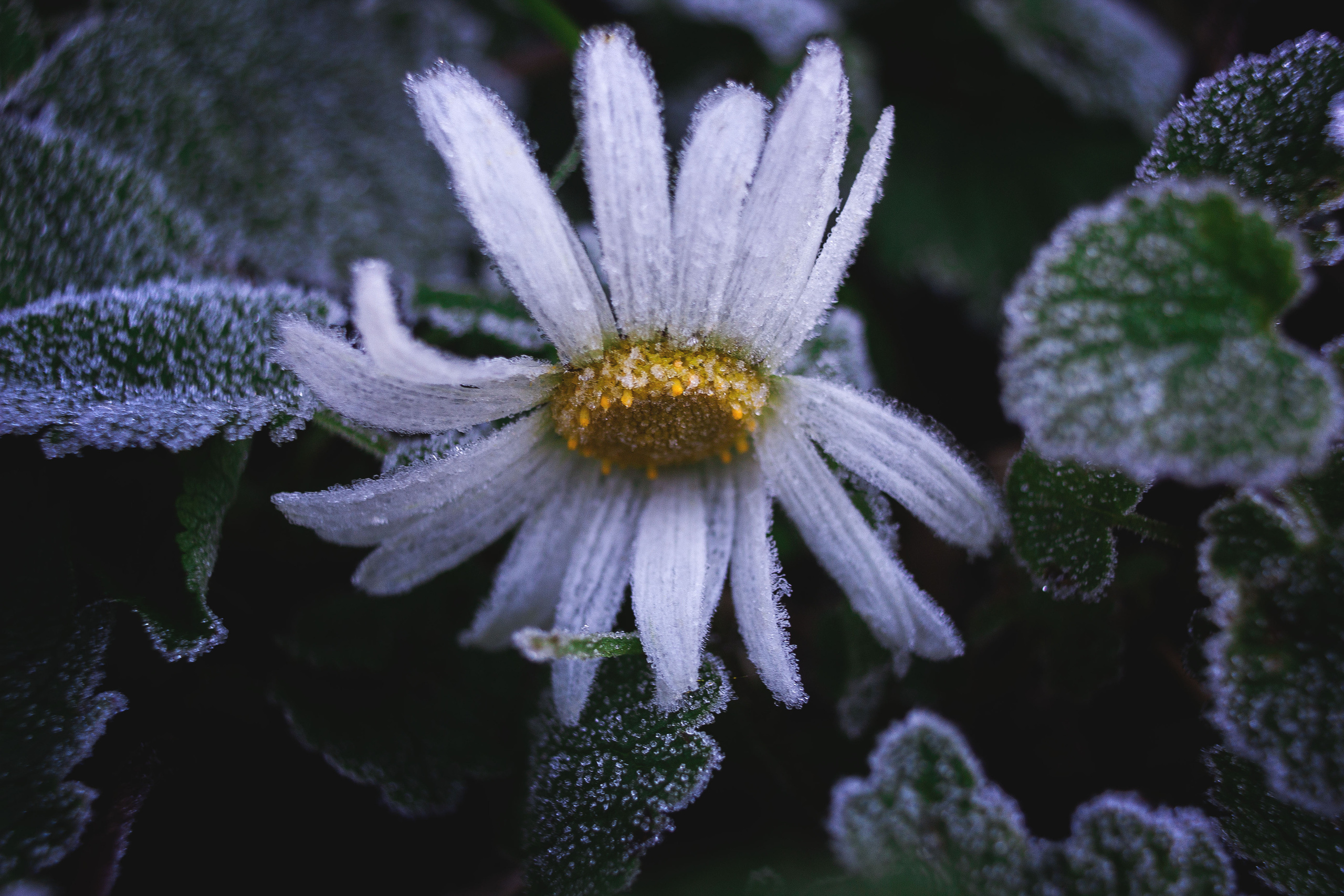 Природное. Обо всём