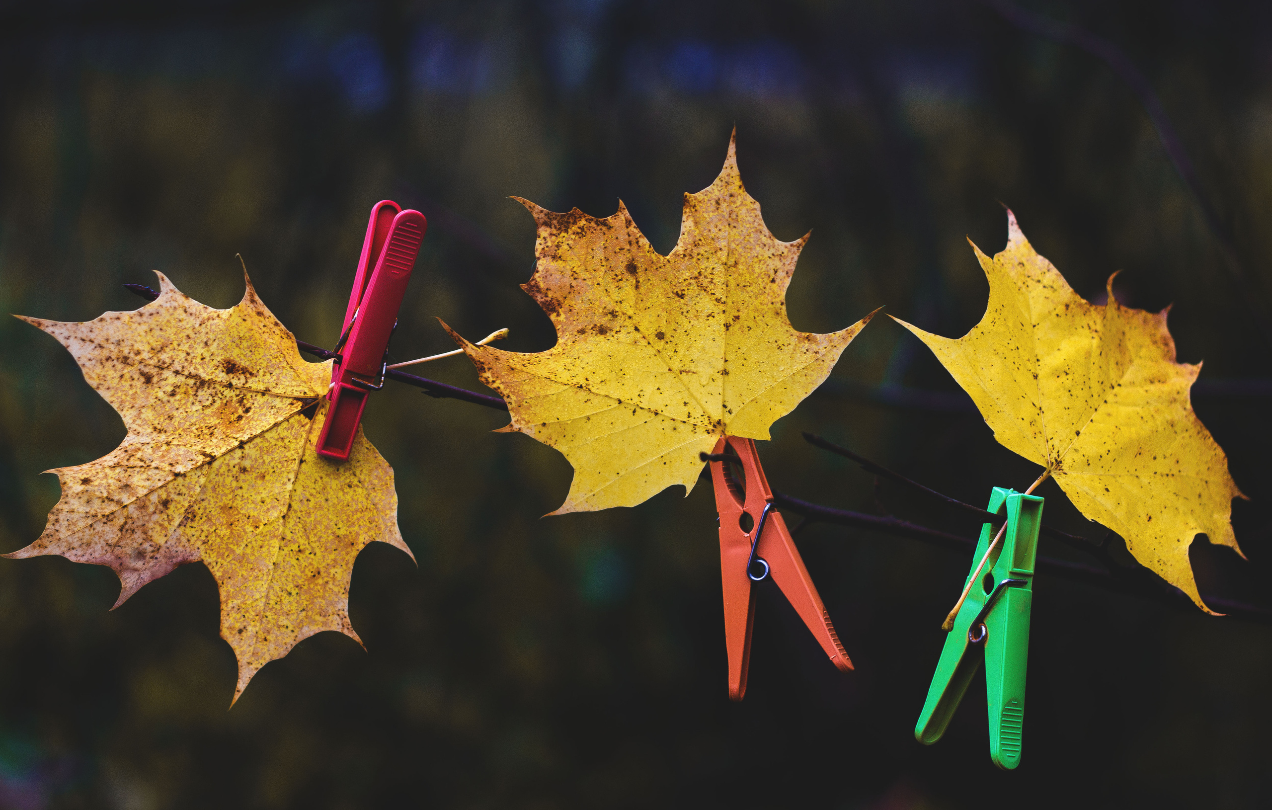 Миксы. Обо всём