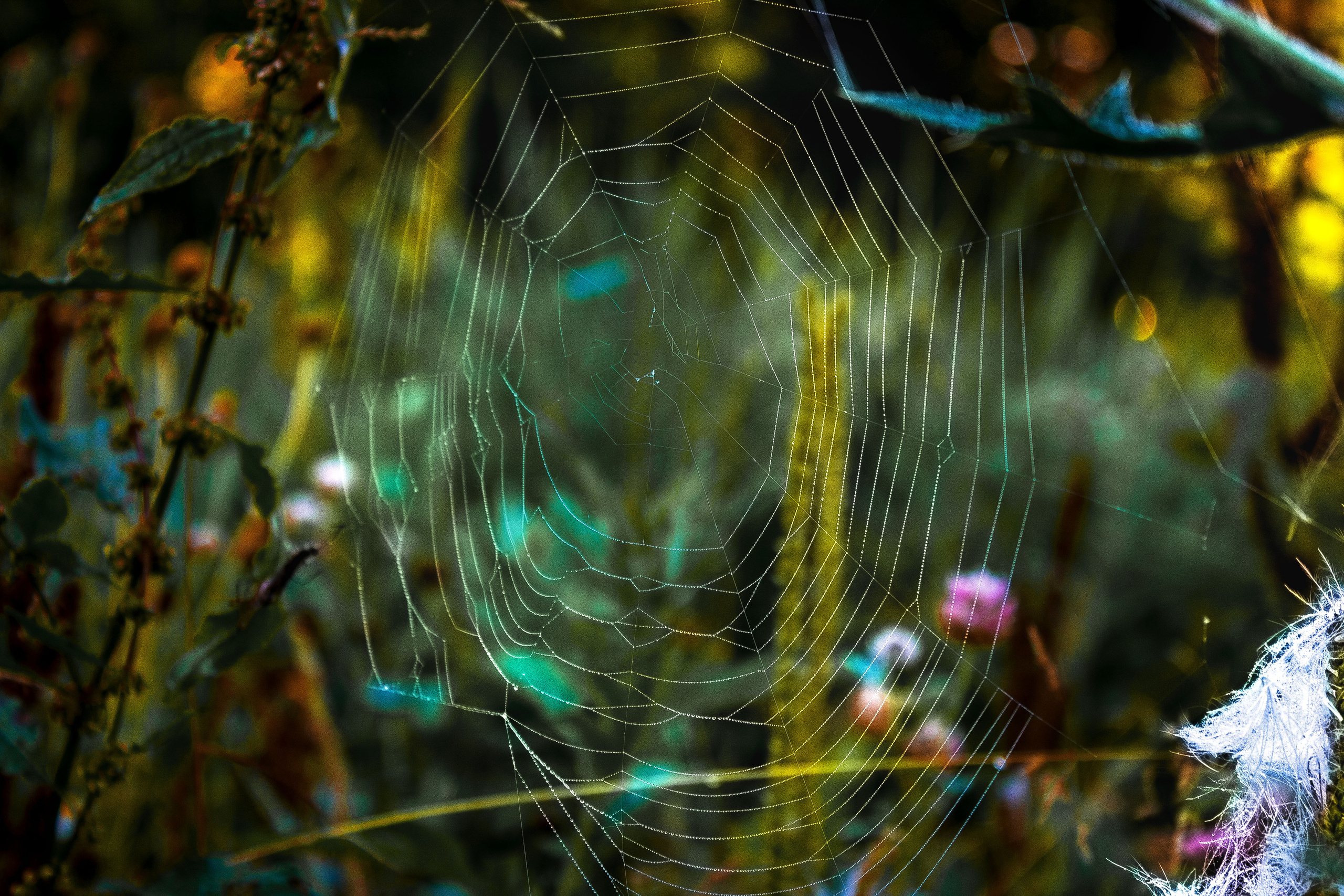 Природное. Обо всём